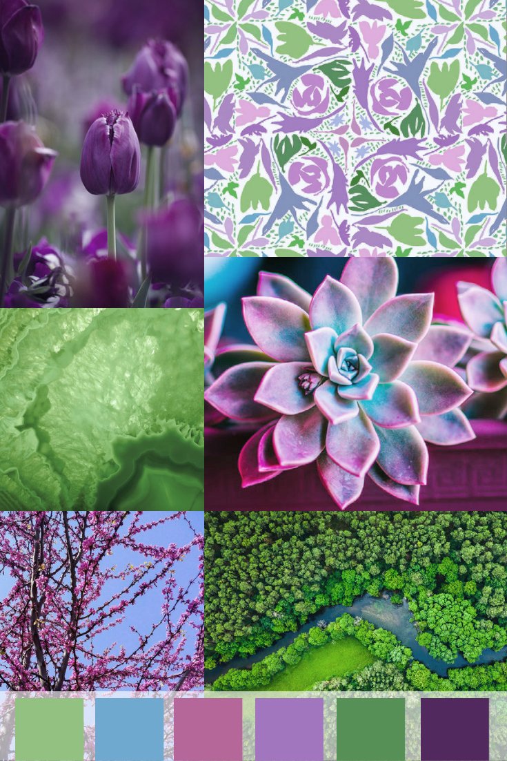 mood board collage of images that are all purple, blue and green. Succulents, trees, tulips, and a pattern design by Jenny Bova. Color blocks at the bottom show the prominent color palette.
