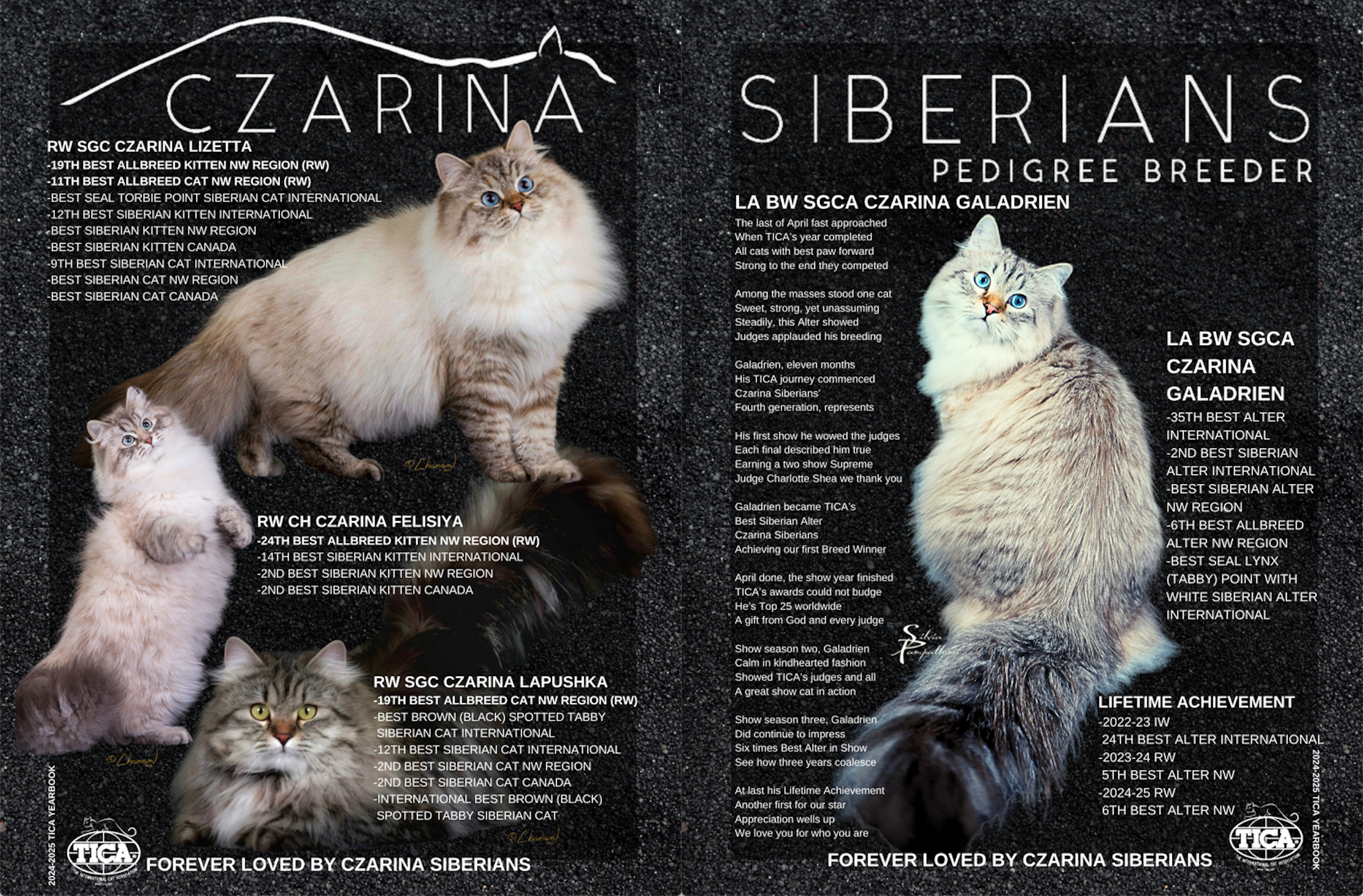 CzarinaSiberiansTICAyearbook2024-25.png