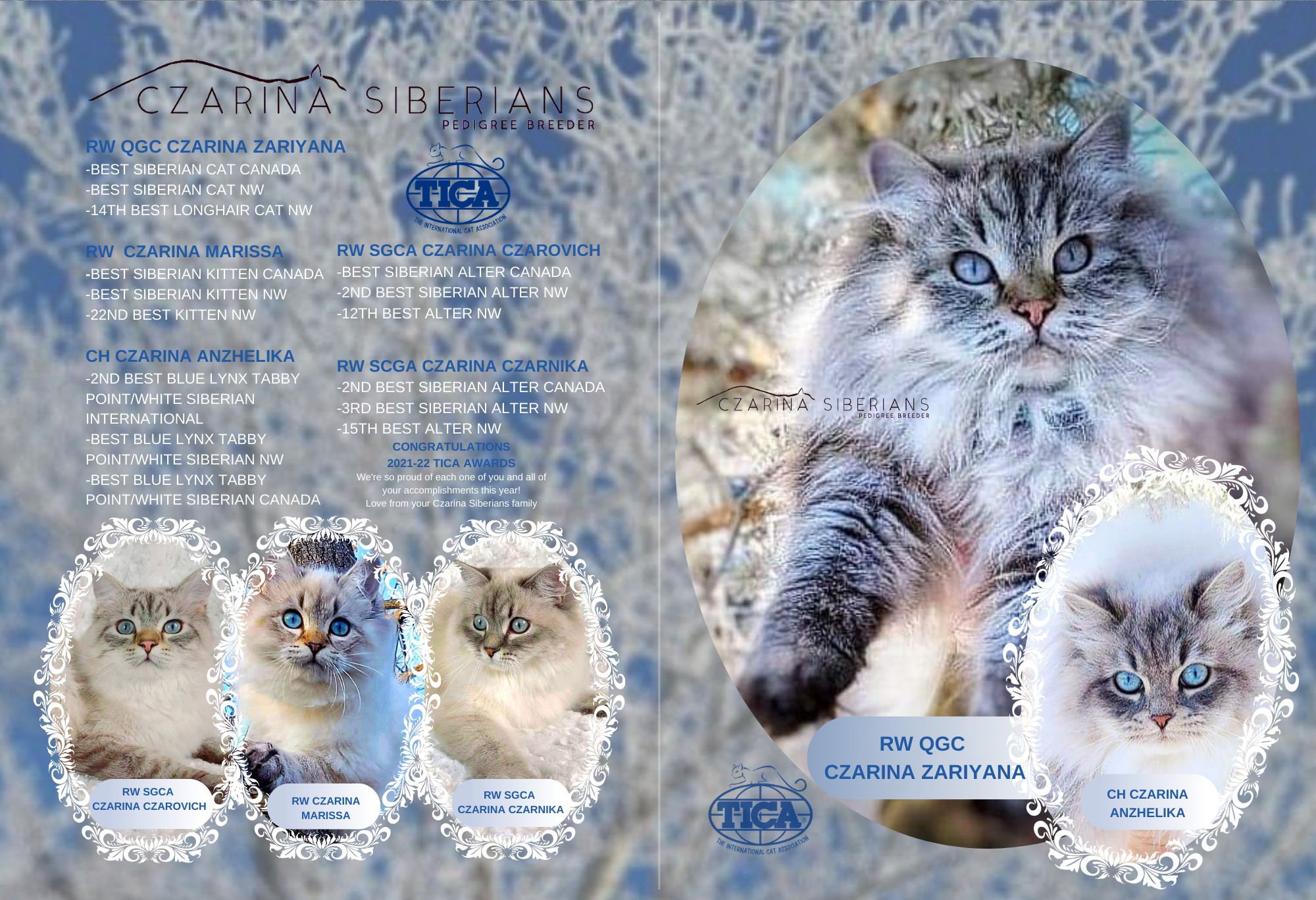 Czarina Siberians achievements in 2021-22 are featured in these TICA Yearbook pages