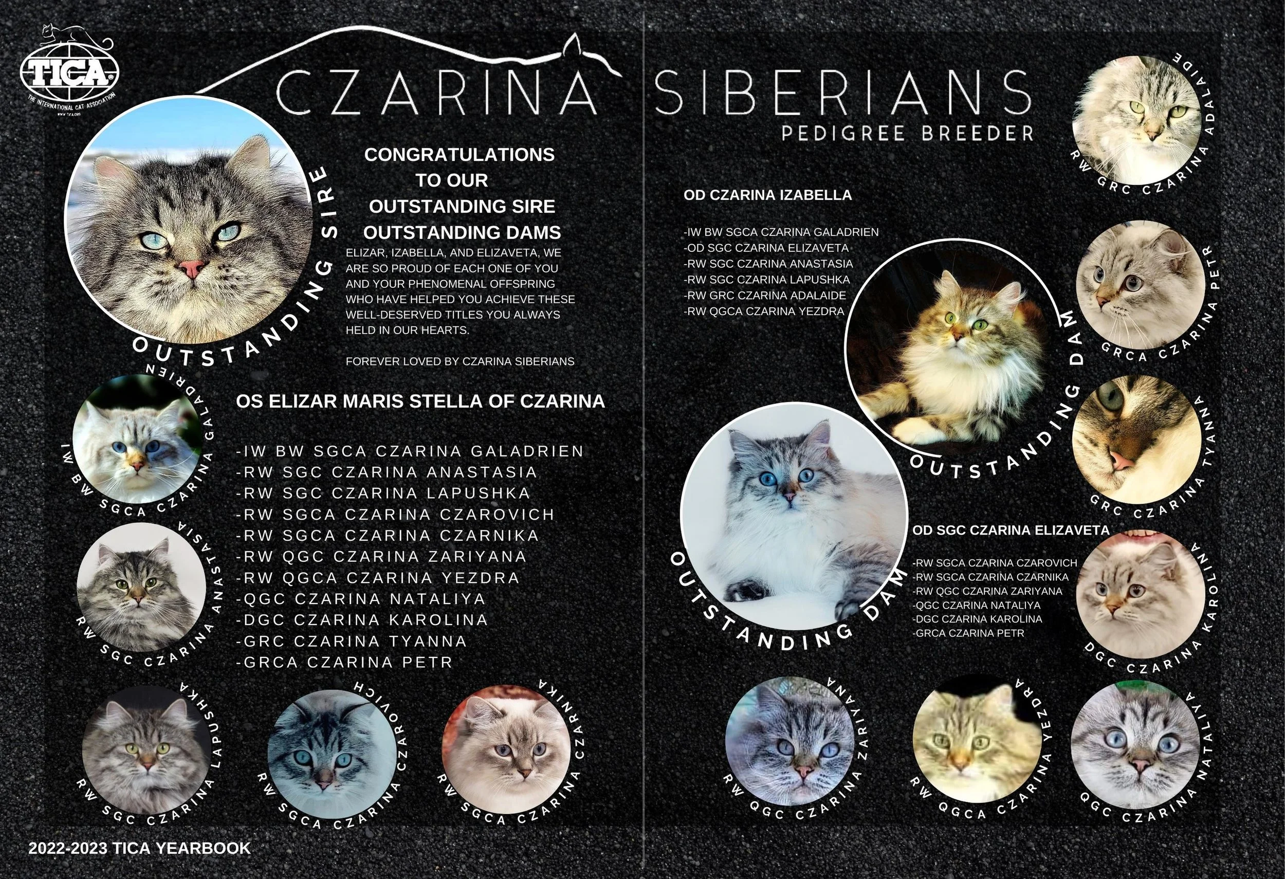 Czarina Siberians achievements in 2019-23 are featured in these TICA Yearbook pages