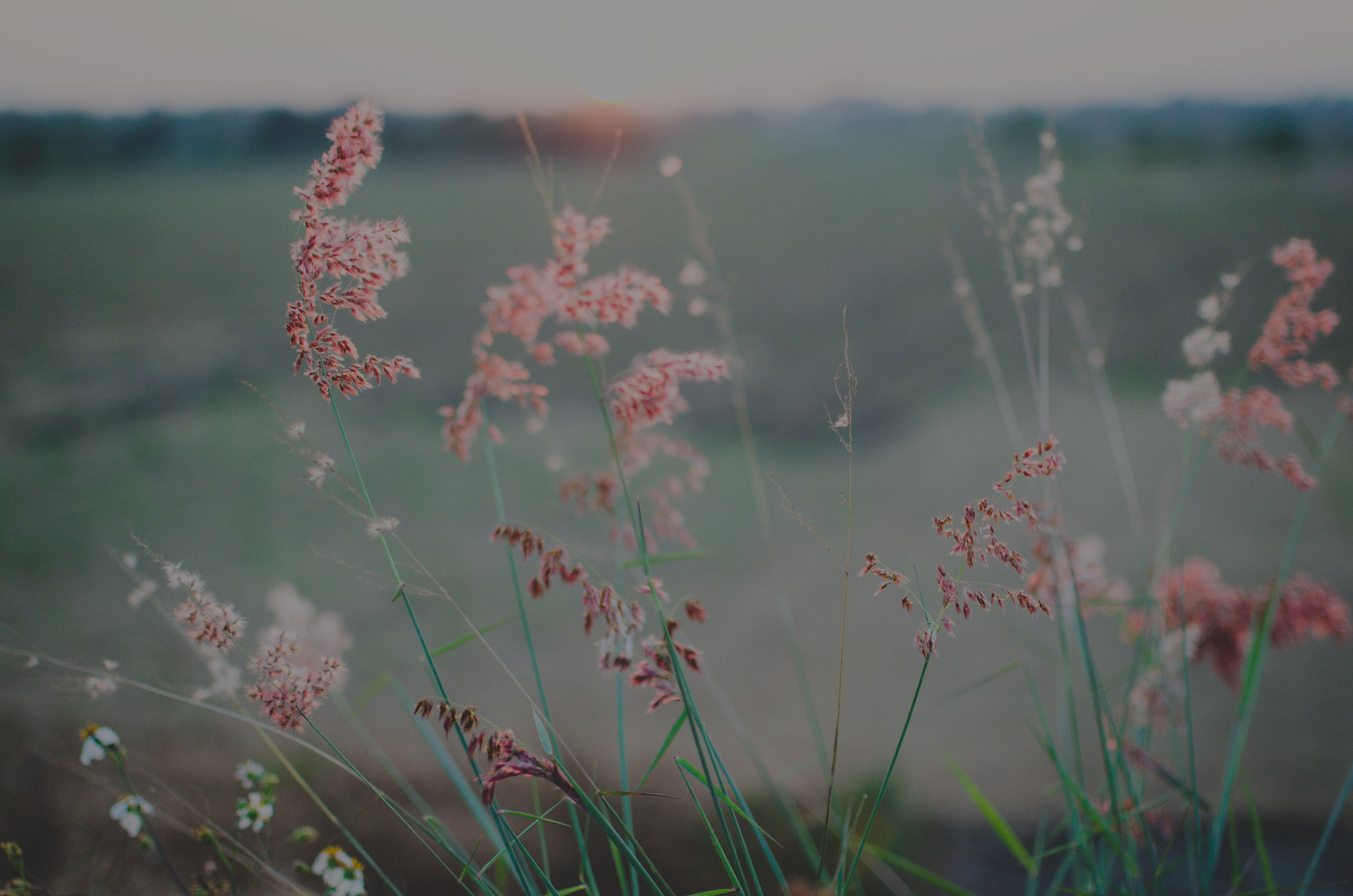 intro-banner.jpg