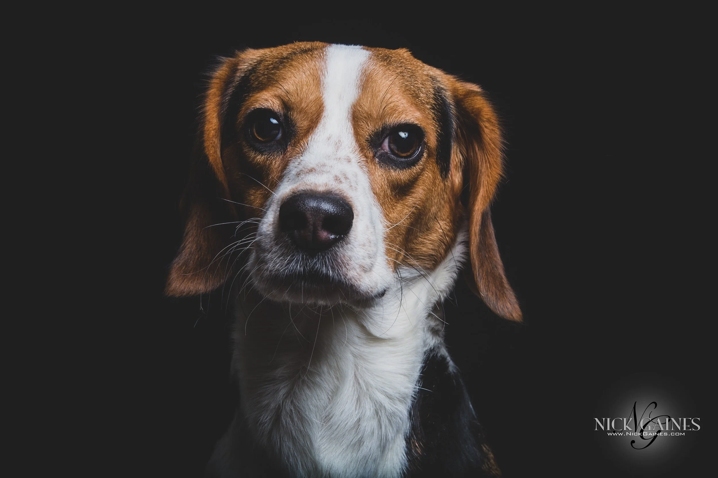 Jasper’s Photoshoot | Nick Gaines Photography