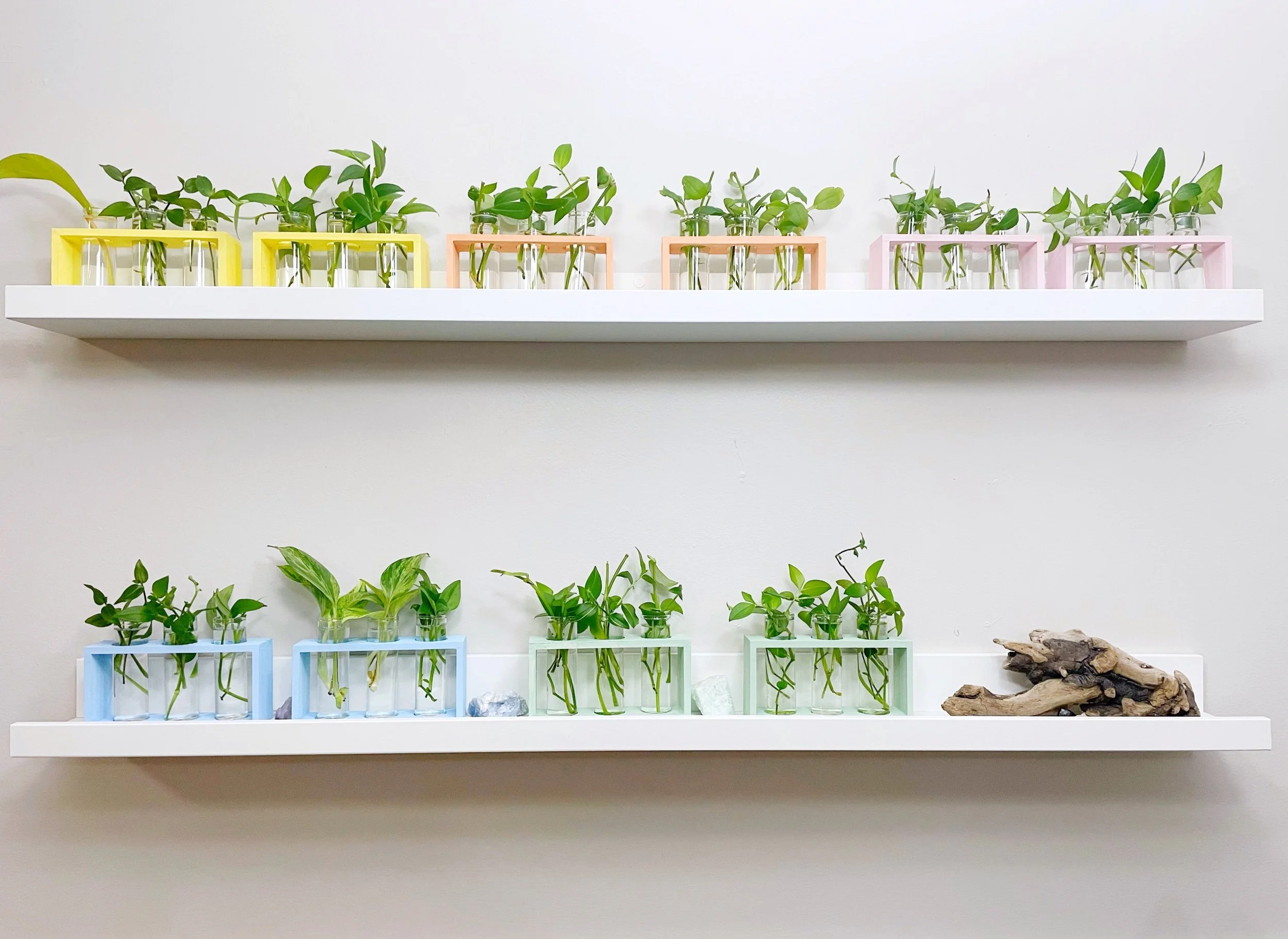 Our Colourful Propagation Wall