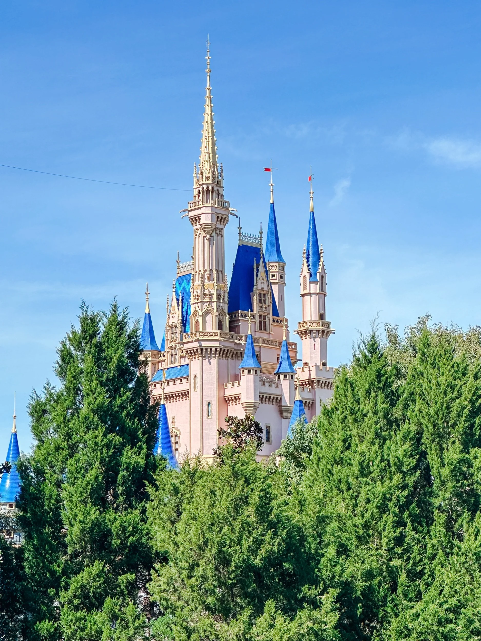 10 Tips For Travelling Carry-On Only To Disney World