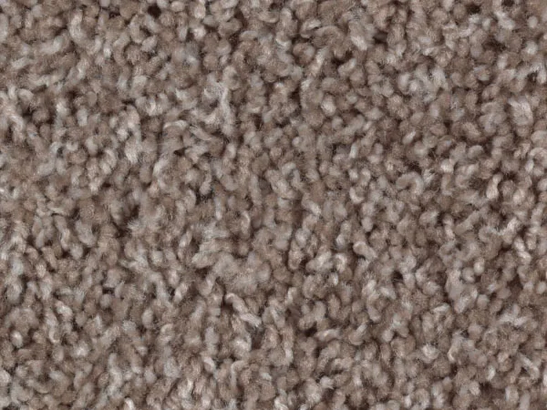 carpet.jpg