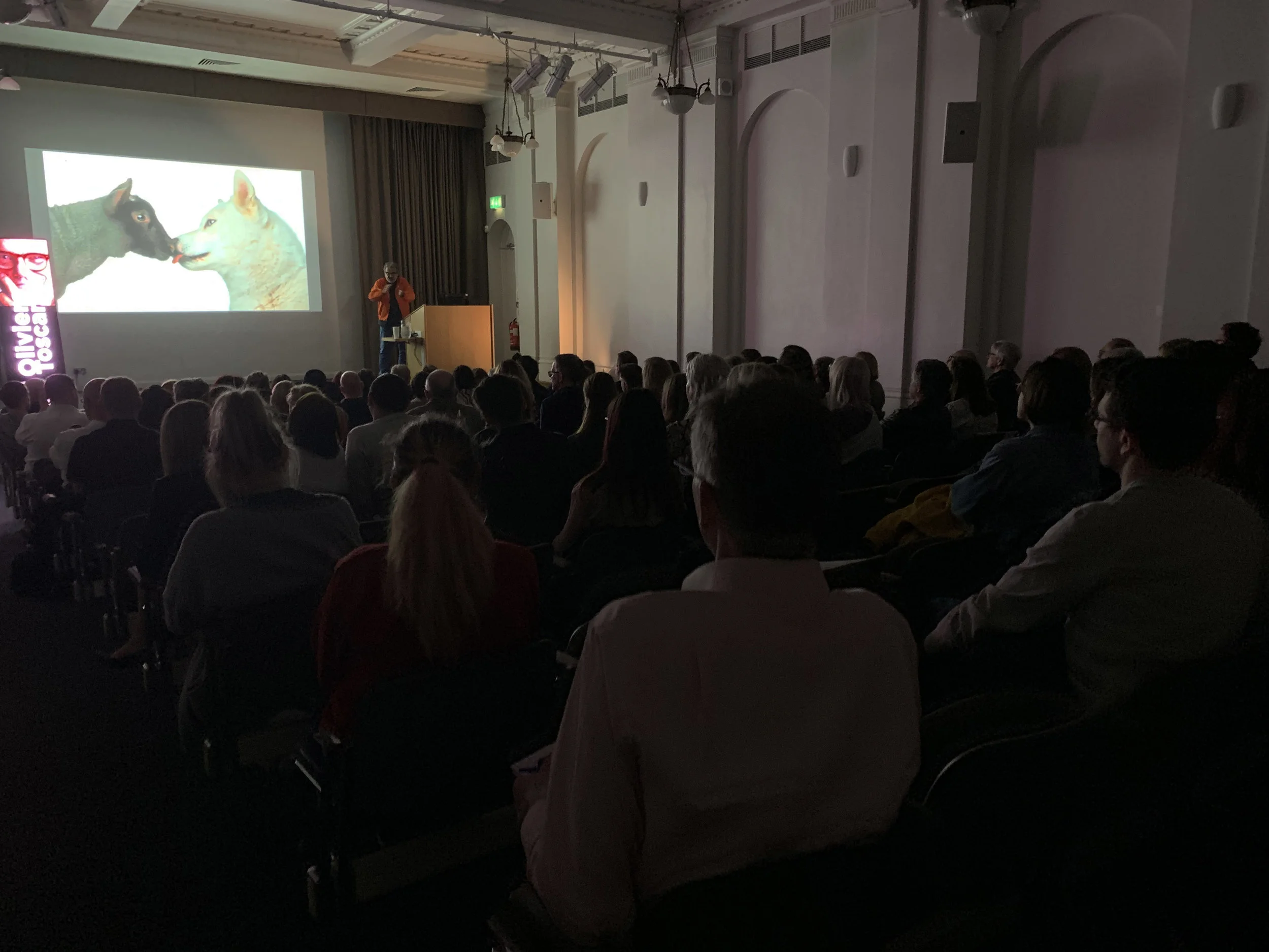 33. Belfast Photo Festival 2019.jpg
