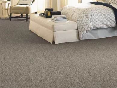 carpet-int-IN.jpg