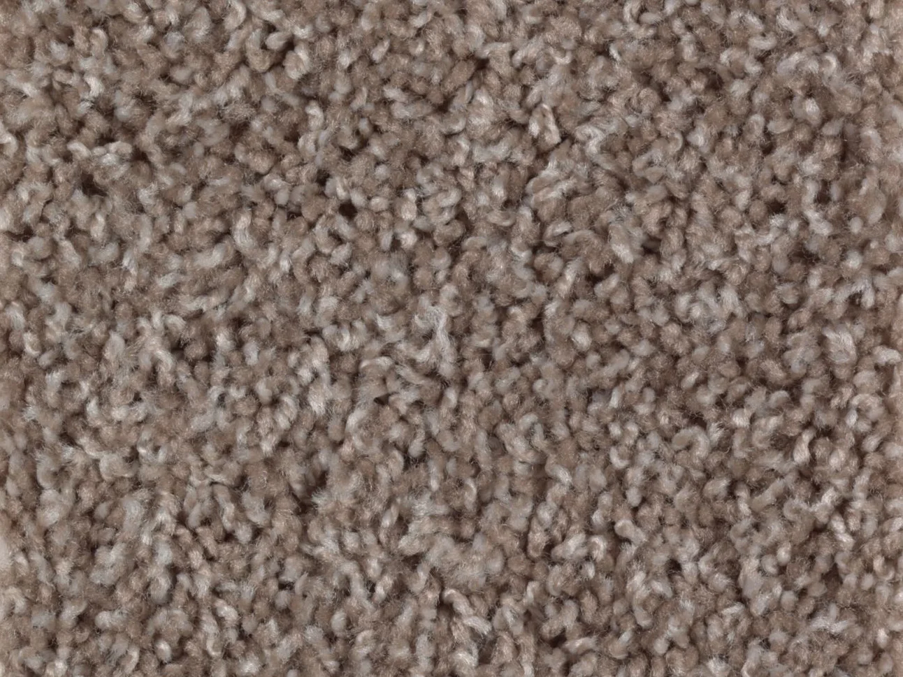 PM395_852.jpg