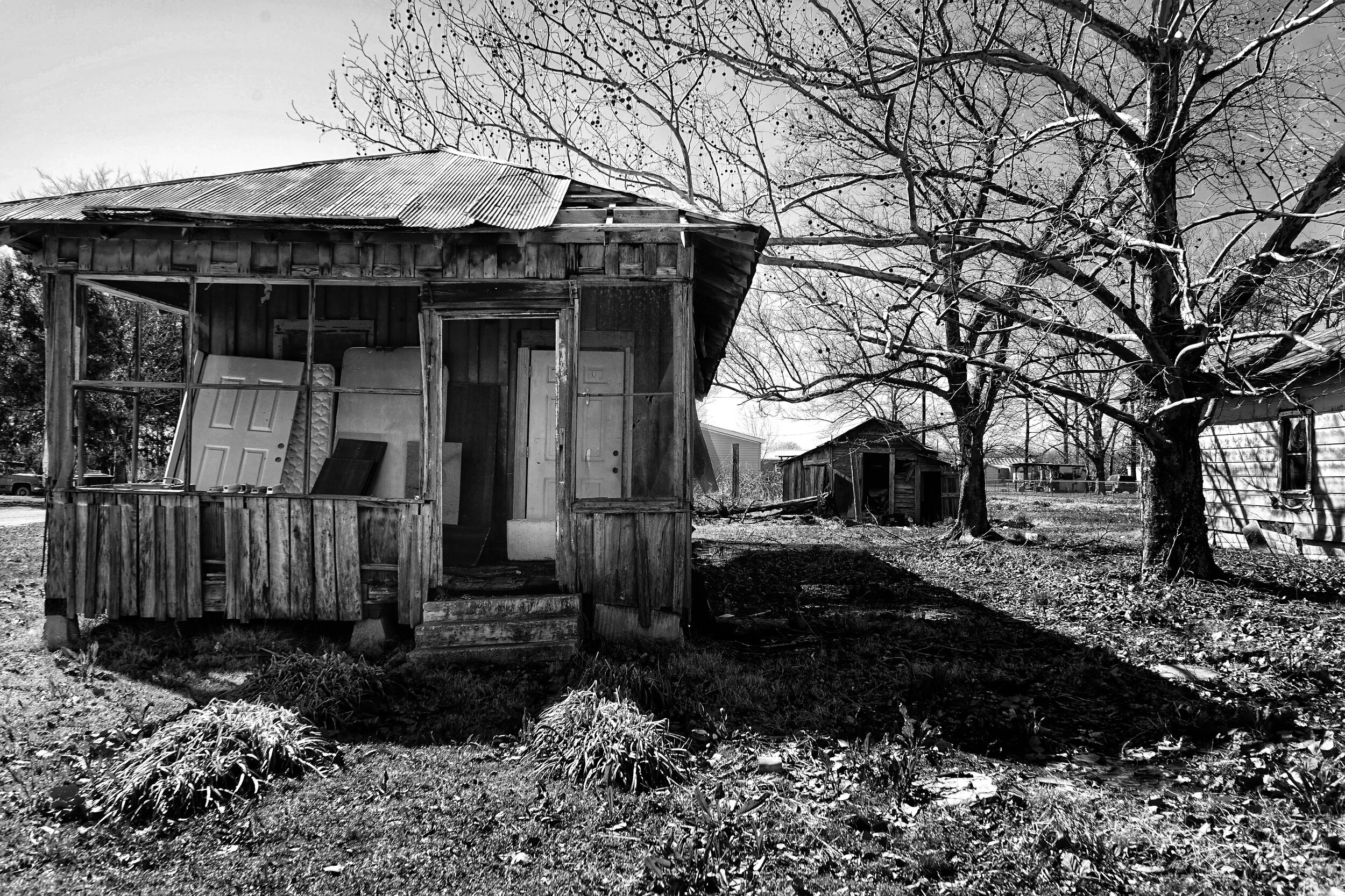 Charlot1_His roots in the Delta.JPG