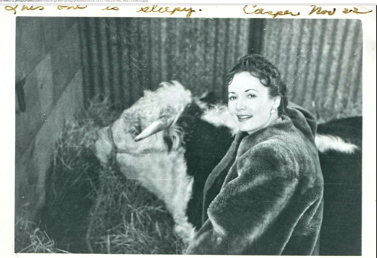  June Mihelcich - Photo uncredited, c. 1972. Handwritten note (in her hand?): “This one is sleepy!” and dated Casper (Wy.), Nov. 22 (1972?). 