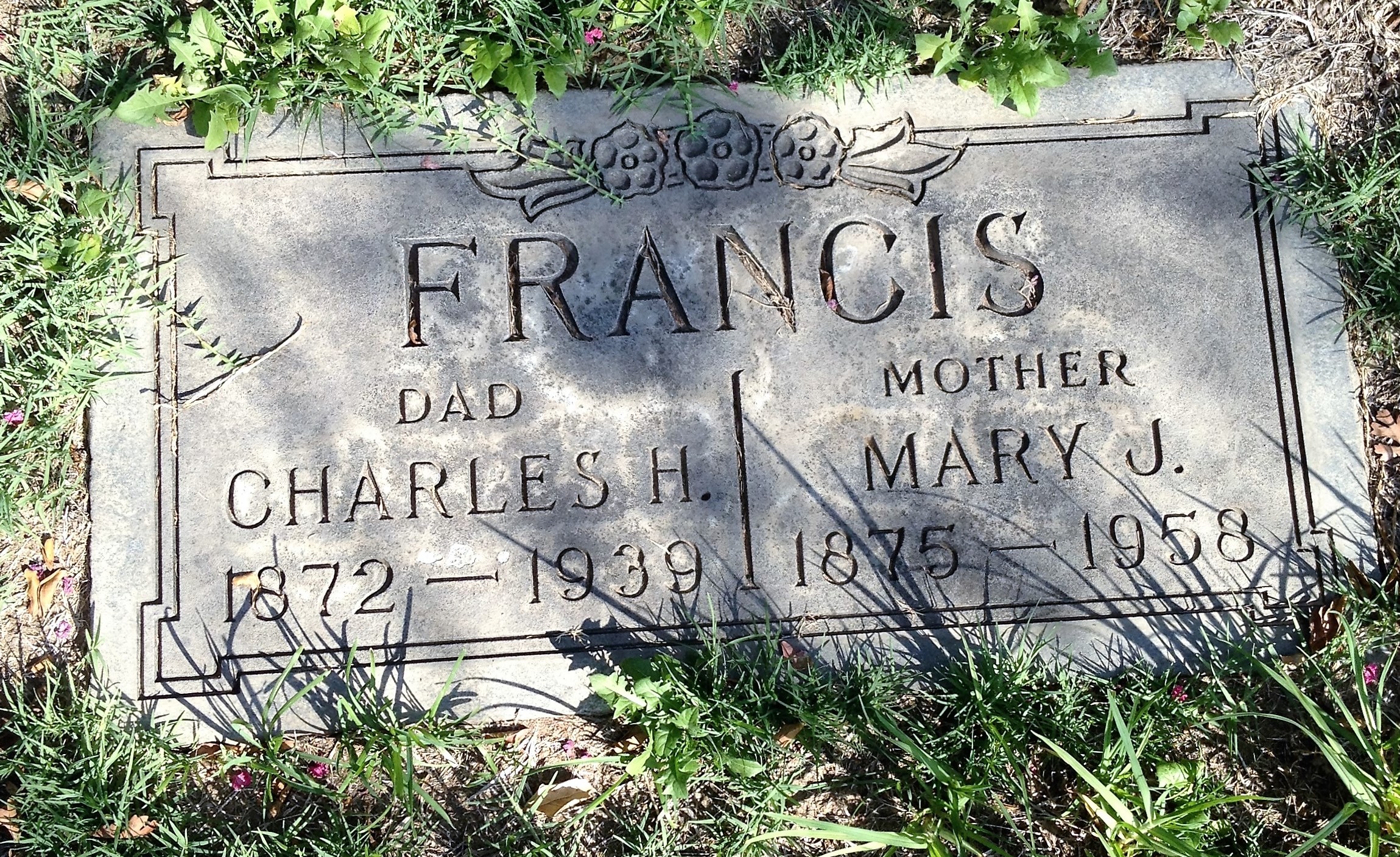  Bob's Paternal Grandparents: Mary Jane Silver and Charles Howe Francis  “Our Francis grandparents never discussed their families. They were kind but always very remote. Grandpa and Nana had two children, Aunt Dora and my dad, Jim. They moved from De