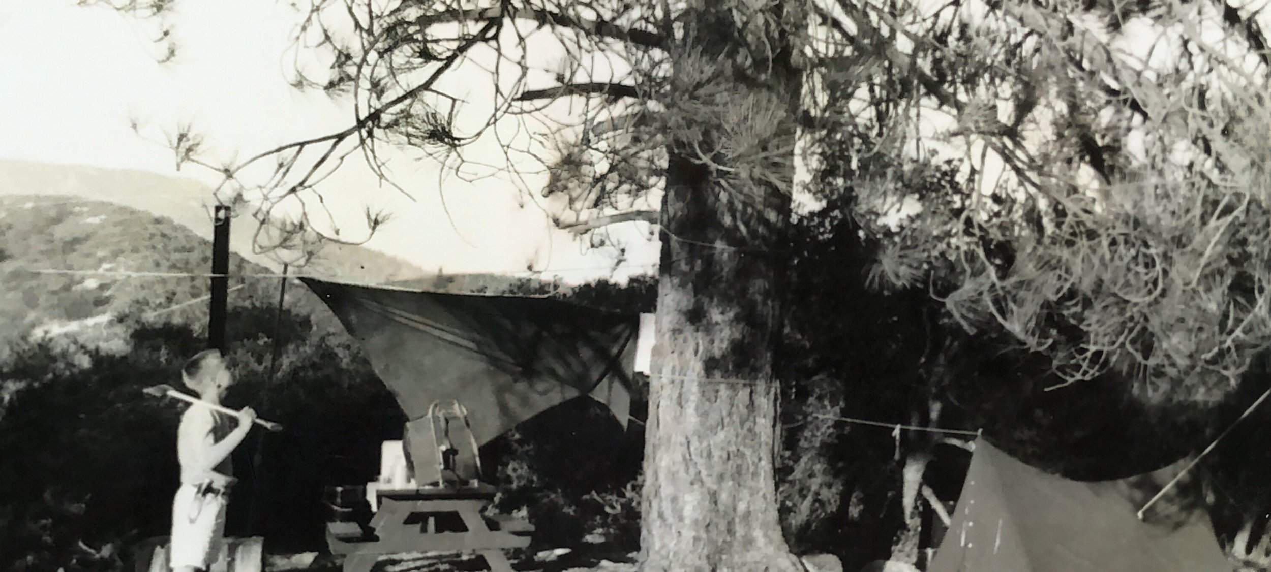  Early 1940s  Probably a “gag” photo made by Bob’s father or his brother, Bill. Bob seems to be contemplating chopping down this large tree with his axe while on a camping trip. Location: Perhaps San Gabriel Mountains near Pasadena. The Robins Family