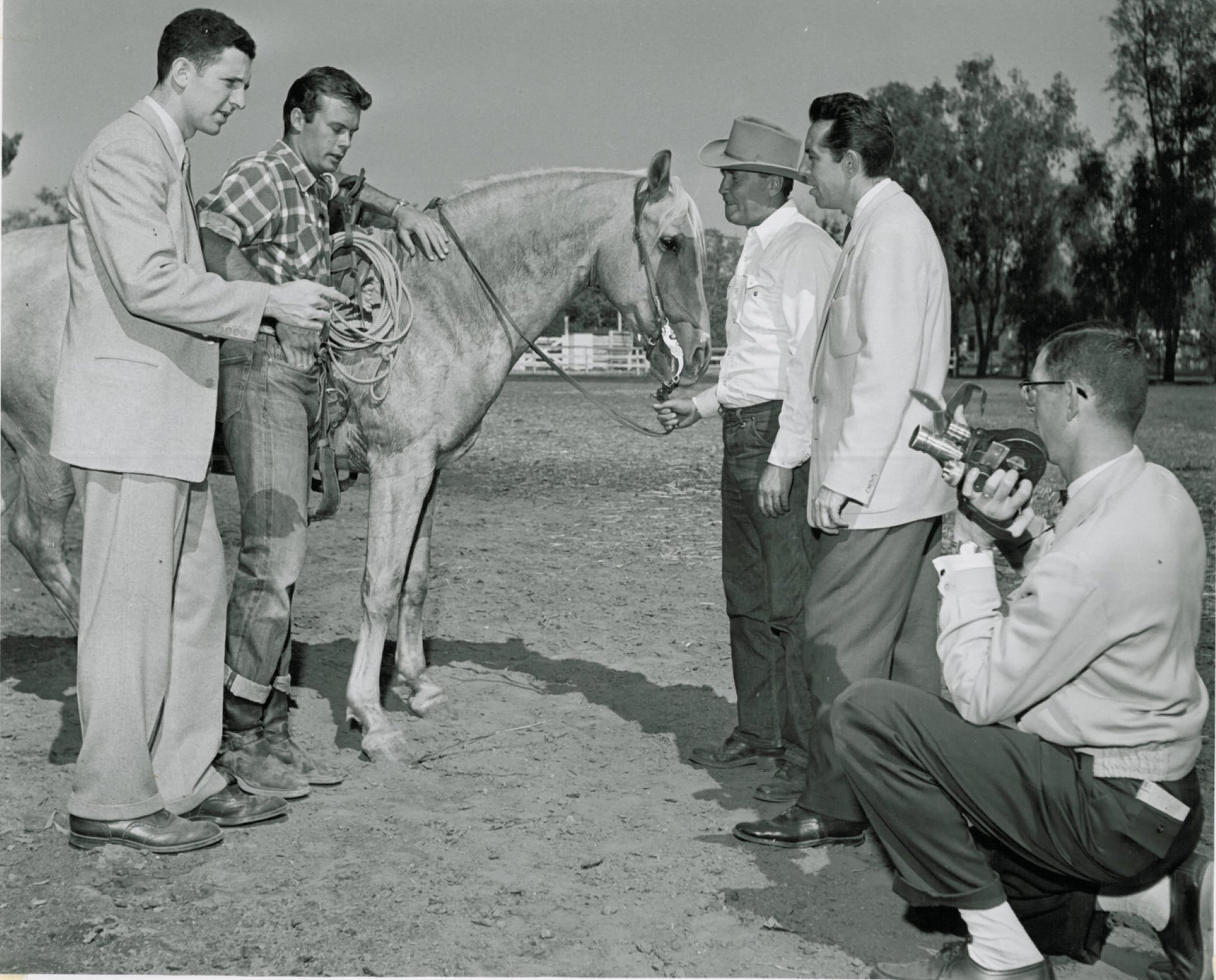  Dec. 29, 1954  Four (4) photographs of Bob with (1) cameraman (movie) and others (unidentified) from, probably, Columbia Pictures, (2) and (3) riding the Palomino, and (4) outtake of Bob swished by horse’s tail. All photographs labeled 12-29-54,  On