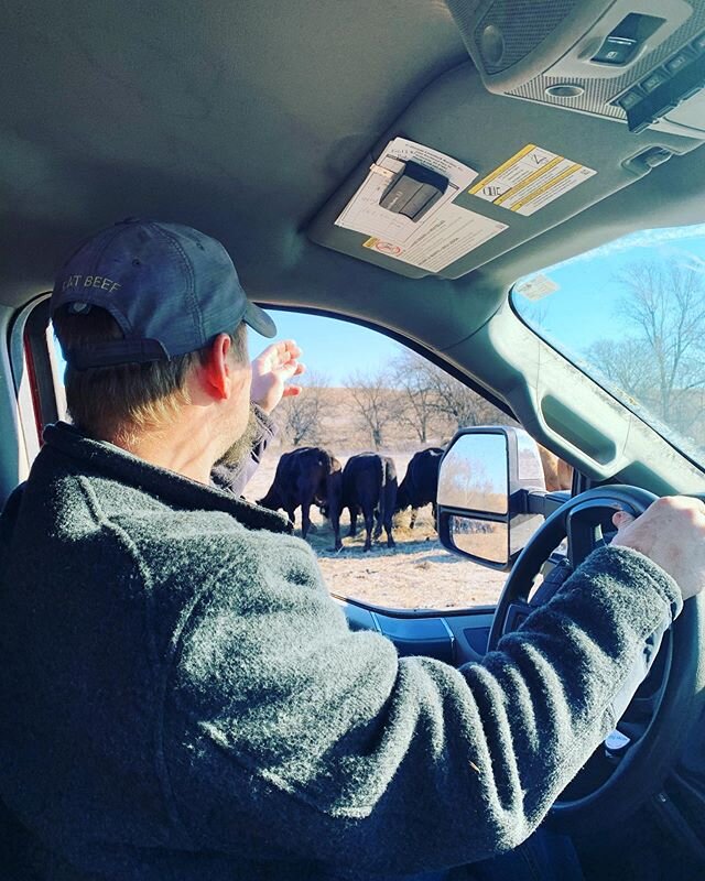 feed truck convos with my dad are the best!:) &bull;
&bull;
&bull;
&bull;
&bull;
&bull;
#mydaddy #bestdad #feedtruck #moringrides #goodmorning #ranchlifestyle #justanotherday #mykansasfarmlife