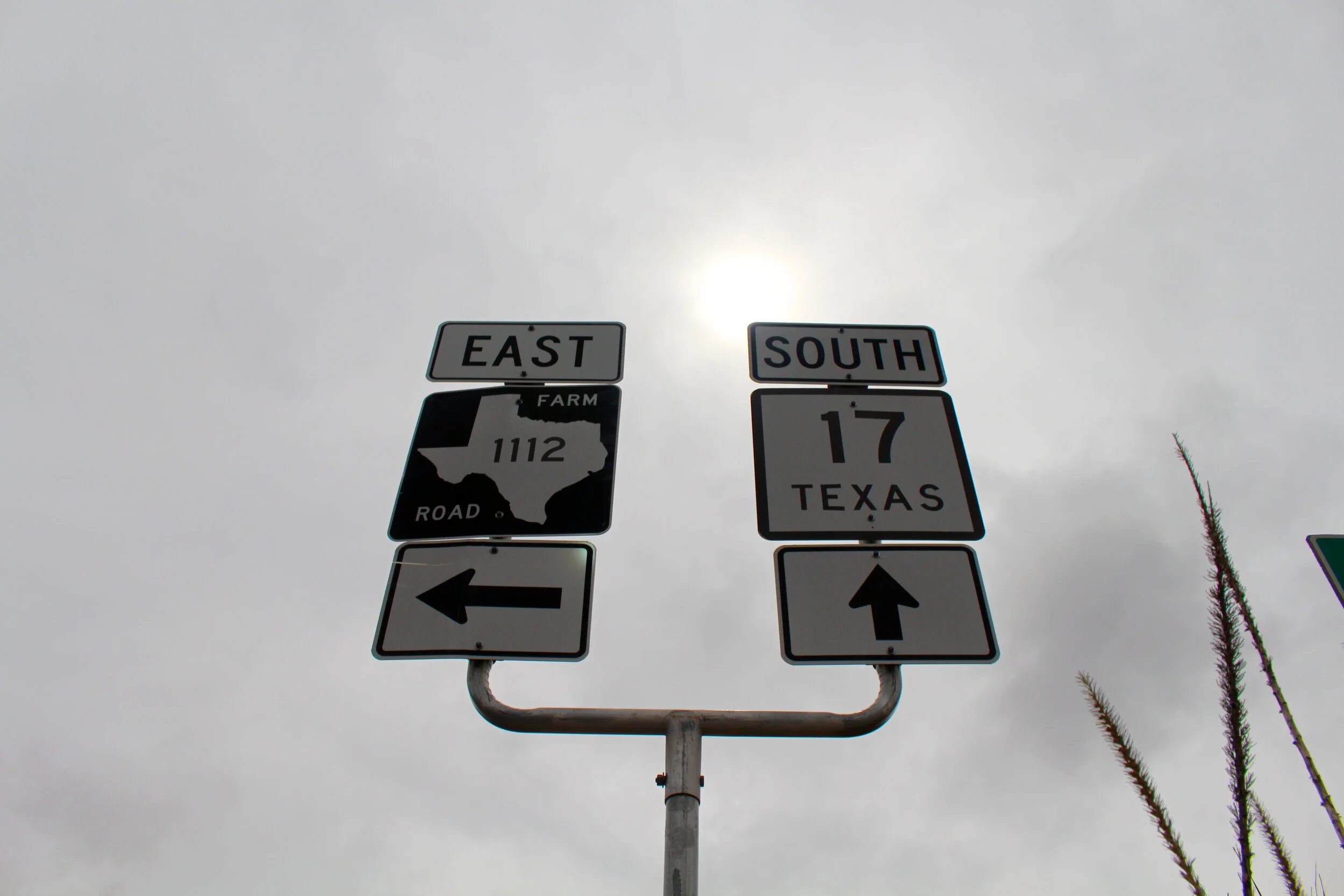 East South Texas.jpg