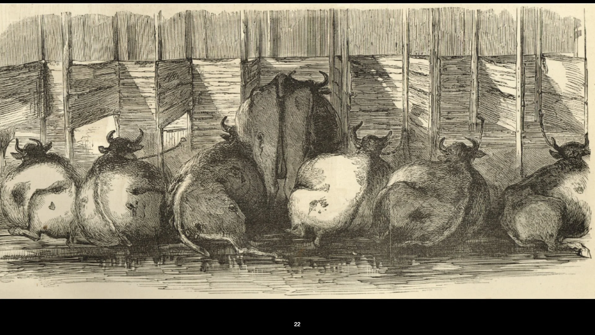 New York - Gramercy photos copy.022.jpeg