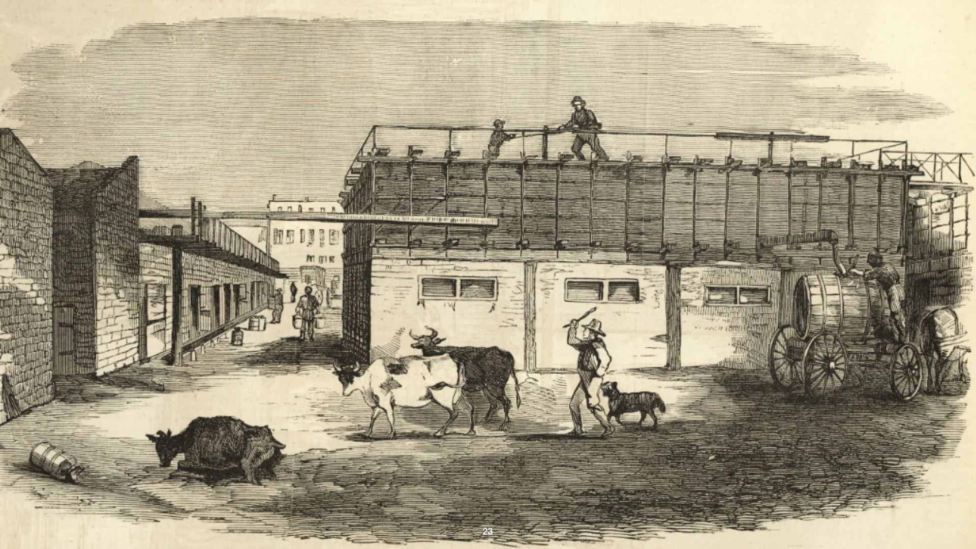 New York - Gramercy photos copy.023.jpeg