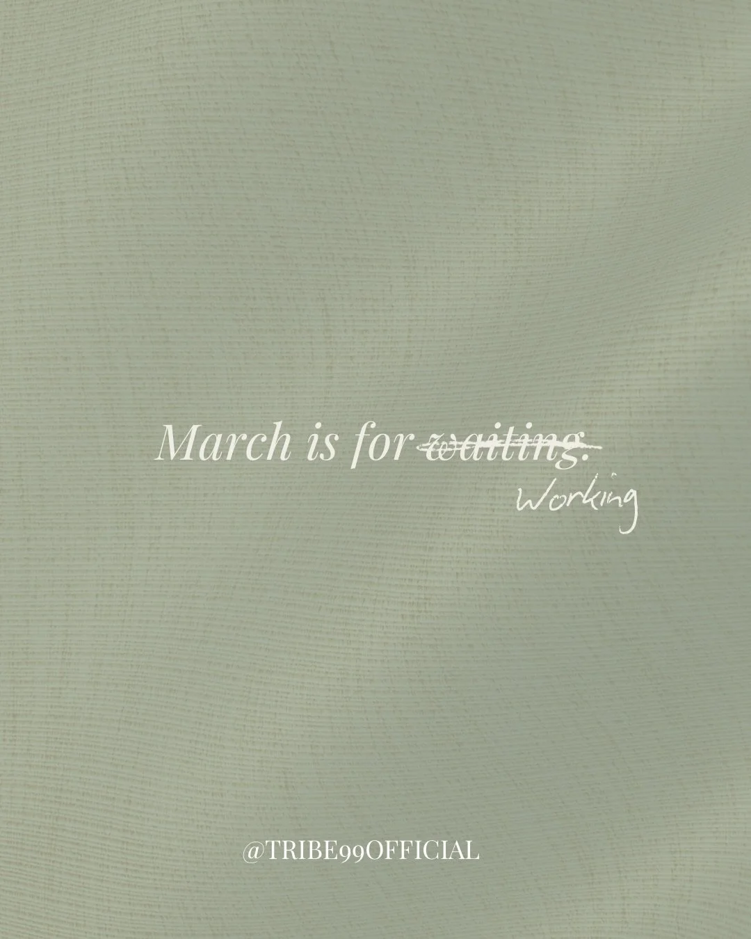 March 👉 Commit to growth

Ready to grow in your training?
TRIBE 99 THE TOUR details are coming soon.👀

#Danceteam #dancetraining #motivation