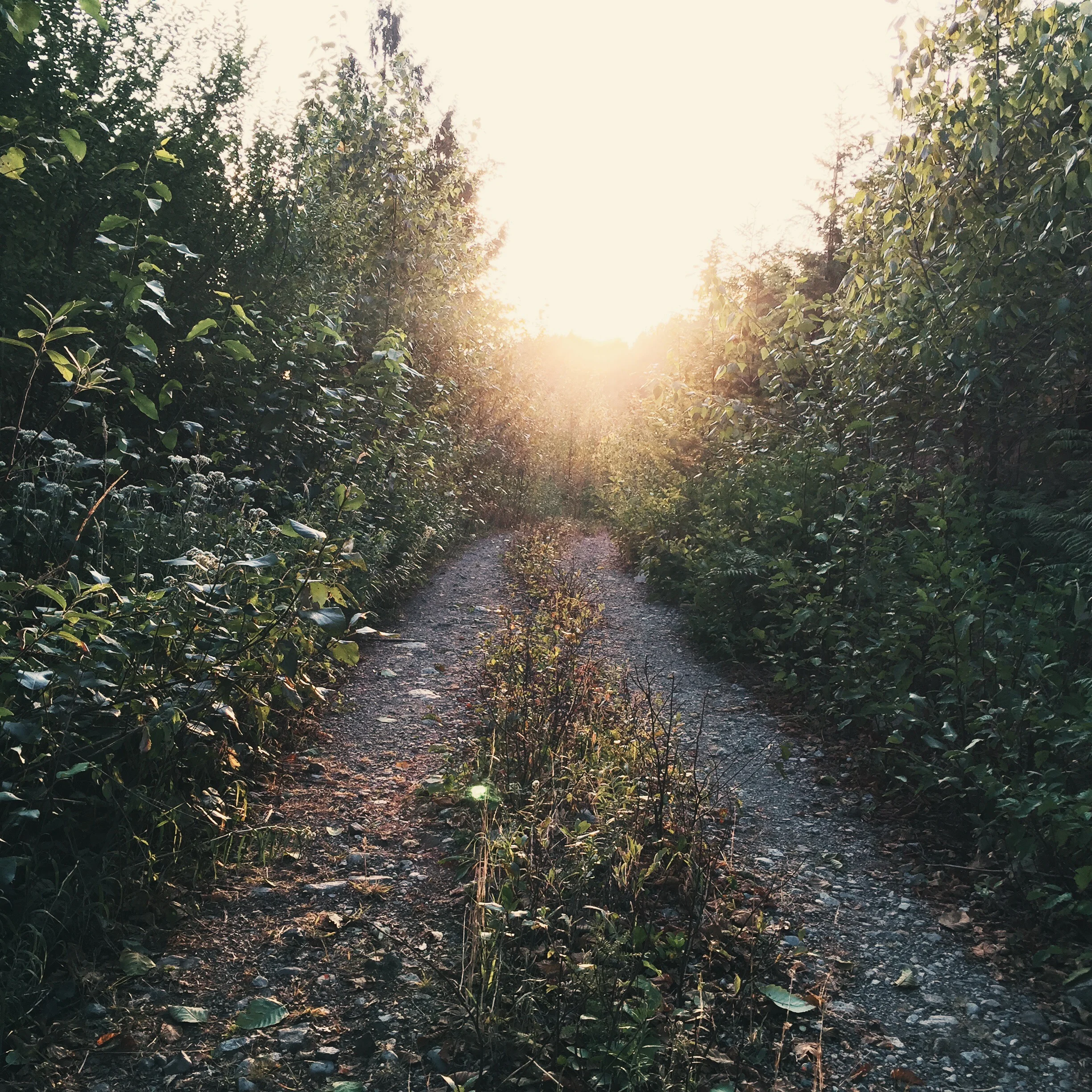 Things I've learned - Don't be a Turkey