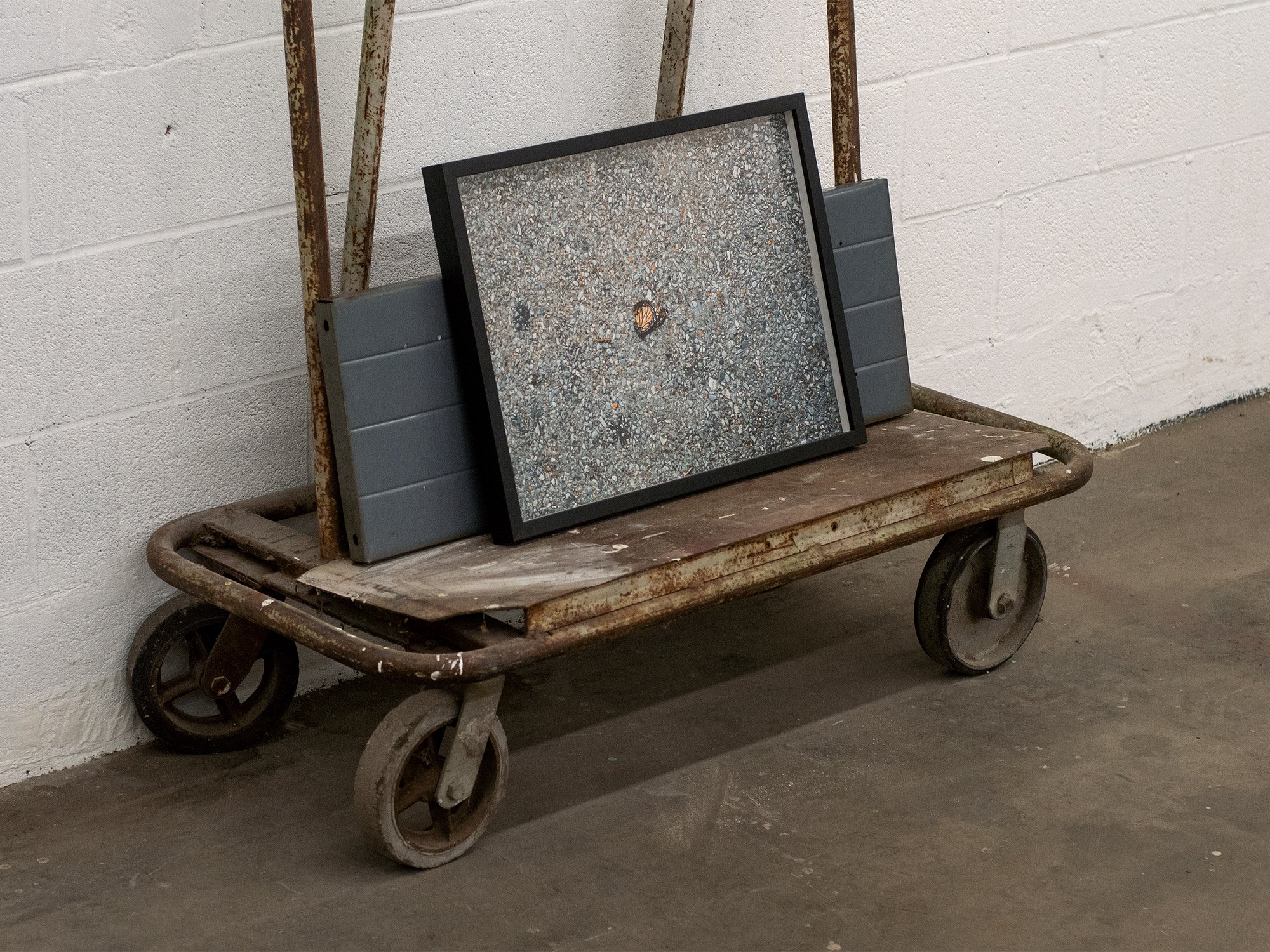 Michigan Ave, Chicago, IL