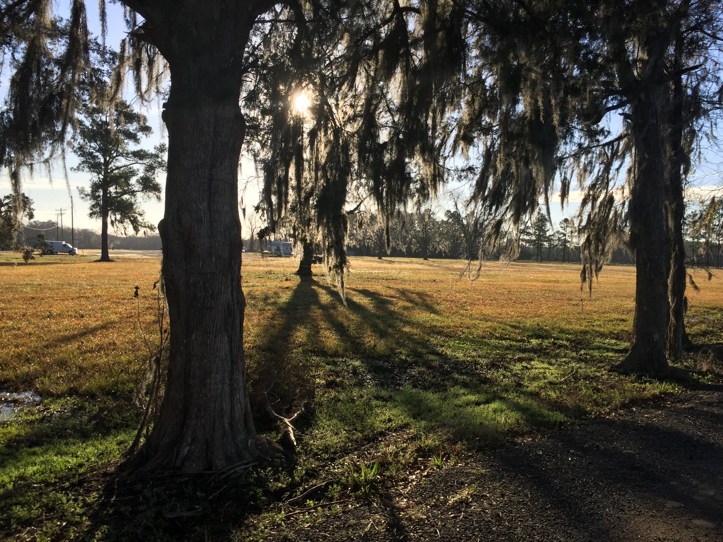 Gorgeous morning in quiet Conway, SC.