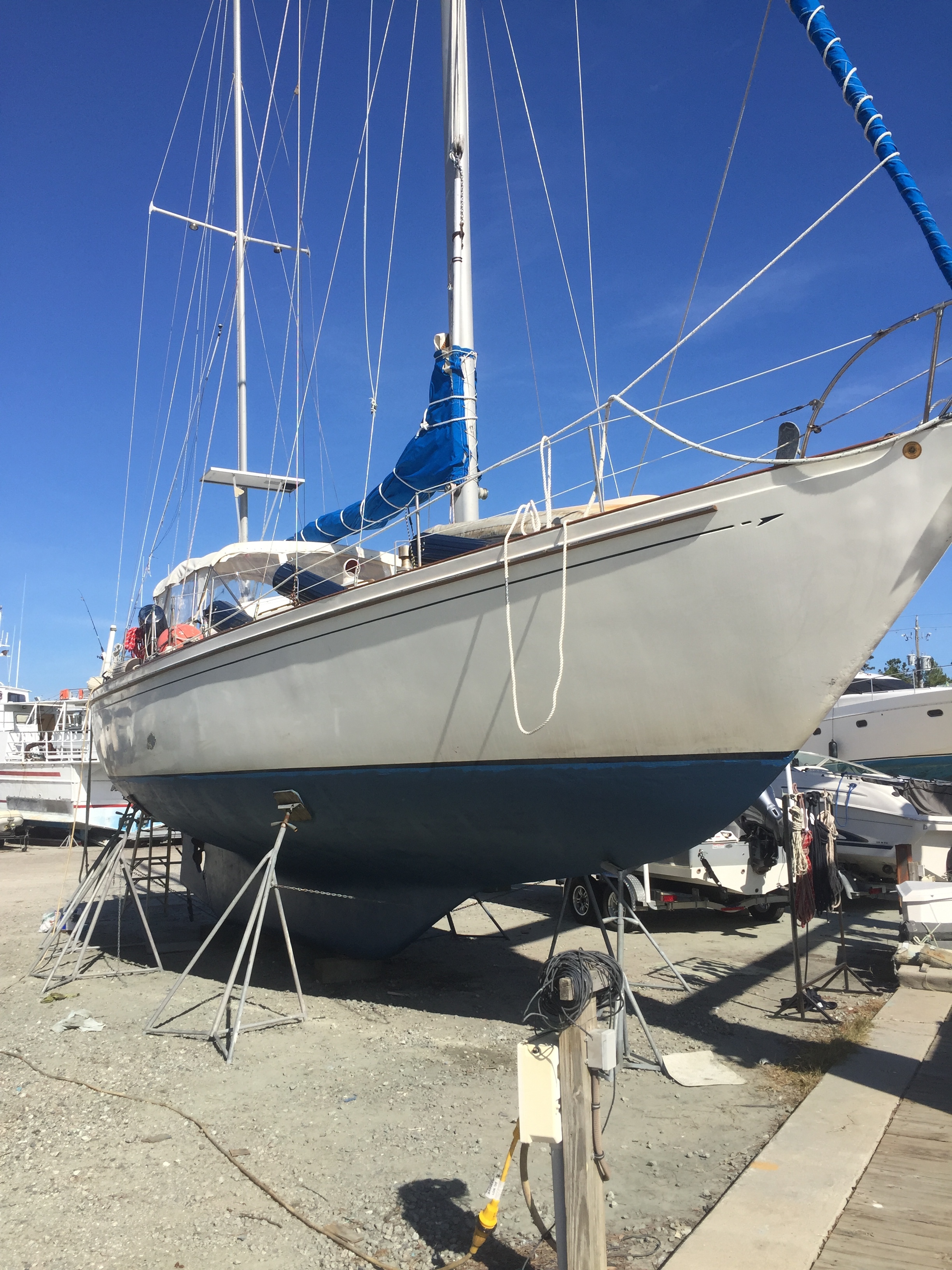 After her paint job, about ready to go back where she belongs in the salty sea.