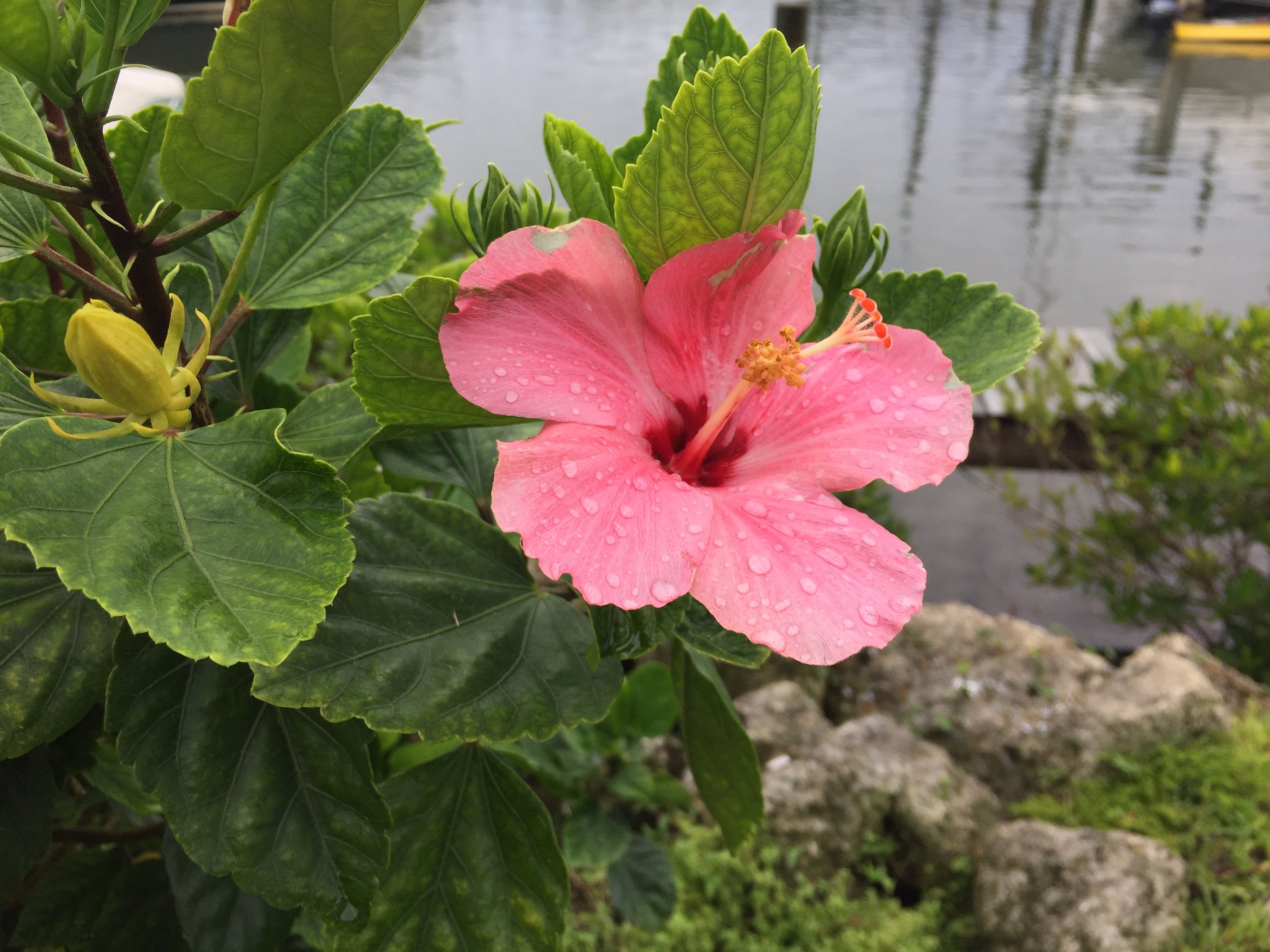 IMG_0023.jpeg