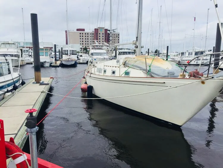 September, 2018: SV Alive (Gypsy Rover at the time) docked in Wilmington, NC, stripped down and prepped for hurricane Florence.