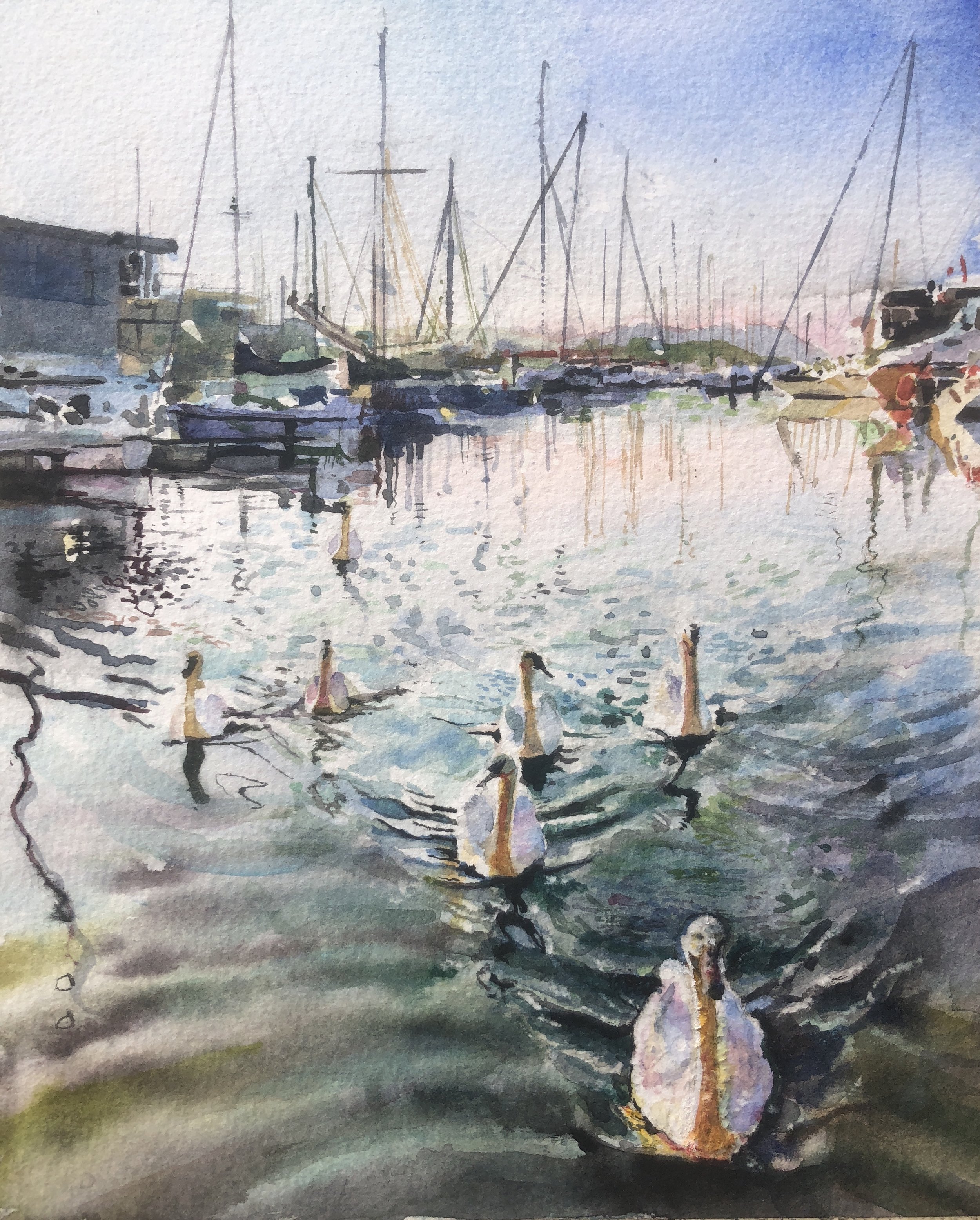 Seven Swans