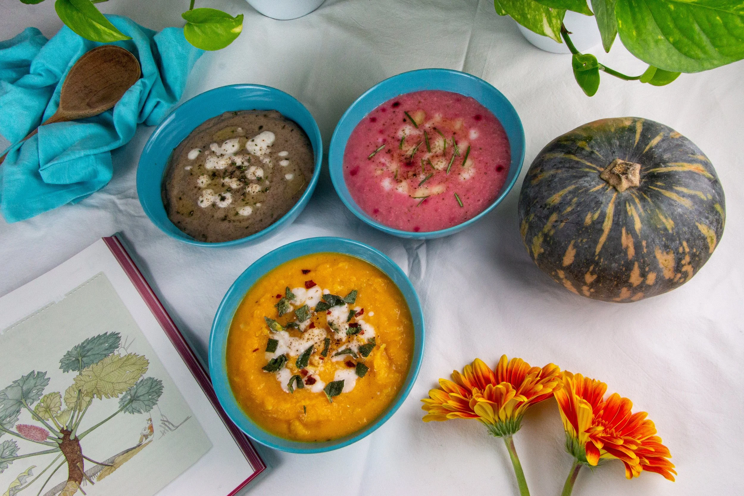Vegan Soups.jpg