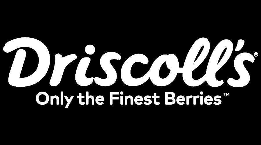 driscolls-vector-logo.png