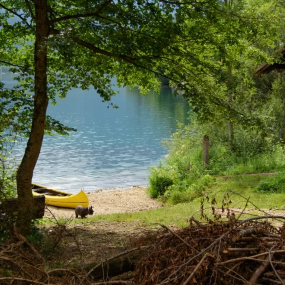 Inclusive Summer Camps