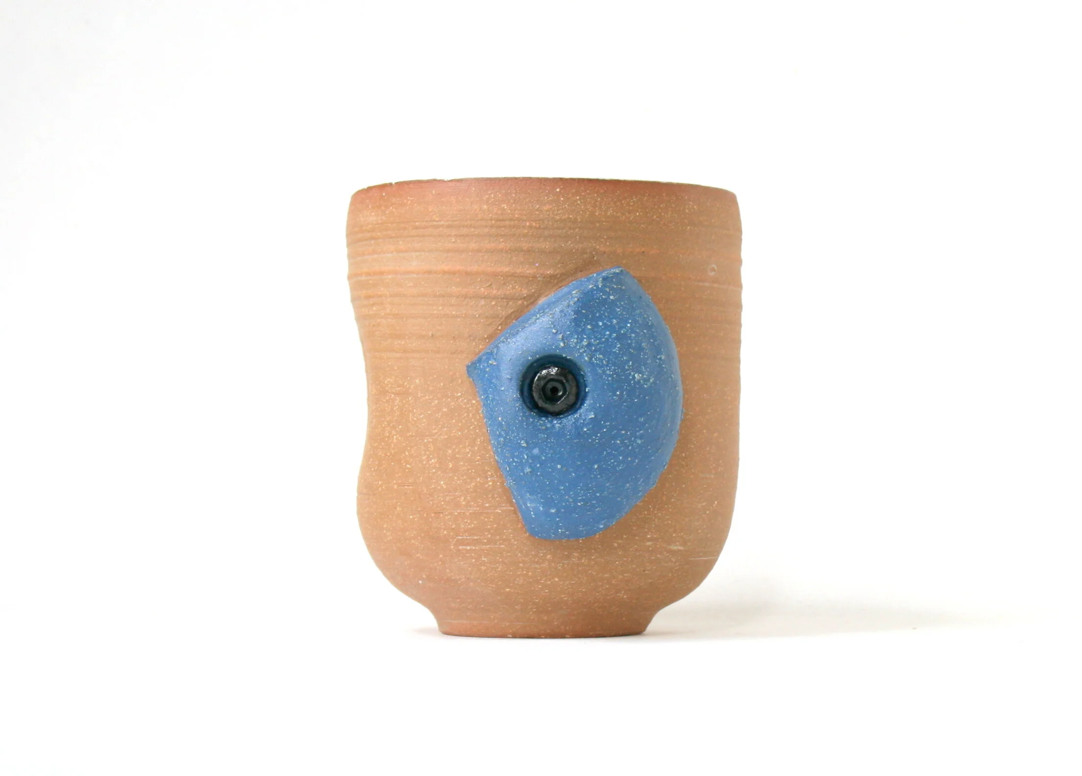 RDBOYER-BLUEGRIPMUG.JPG