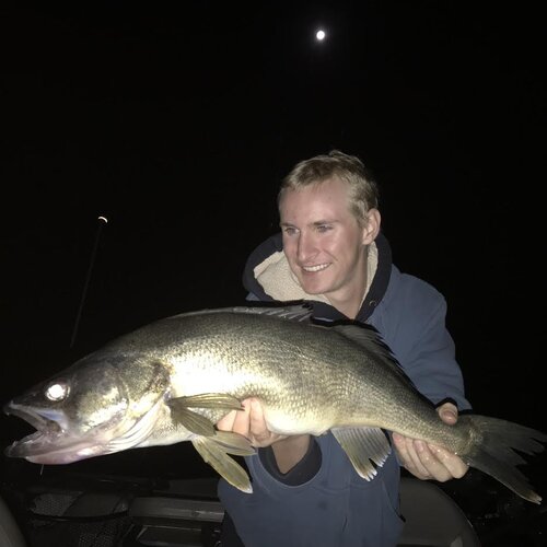 Night Fishing for Muskie: Understand Moonlight to Catch More Fish