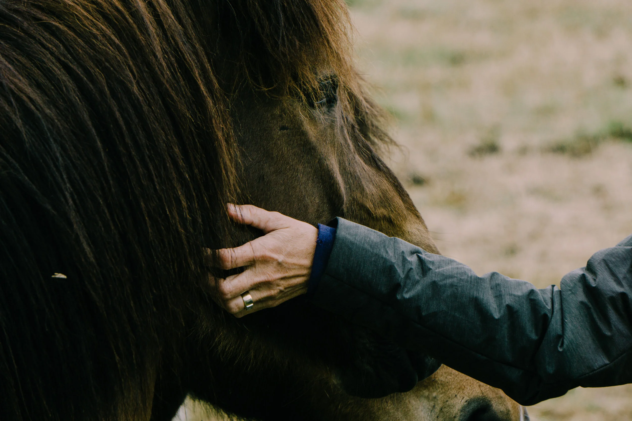 Benefits of Equine Massage