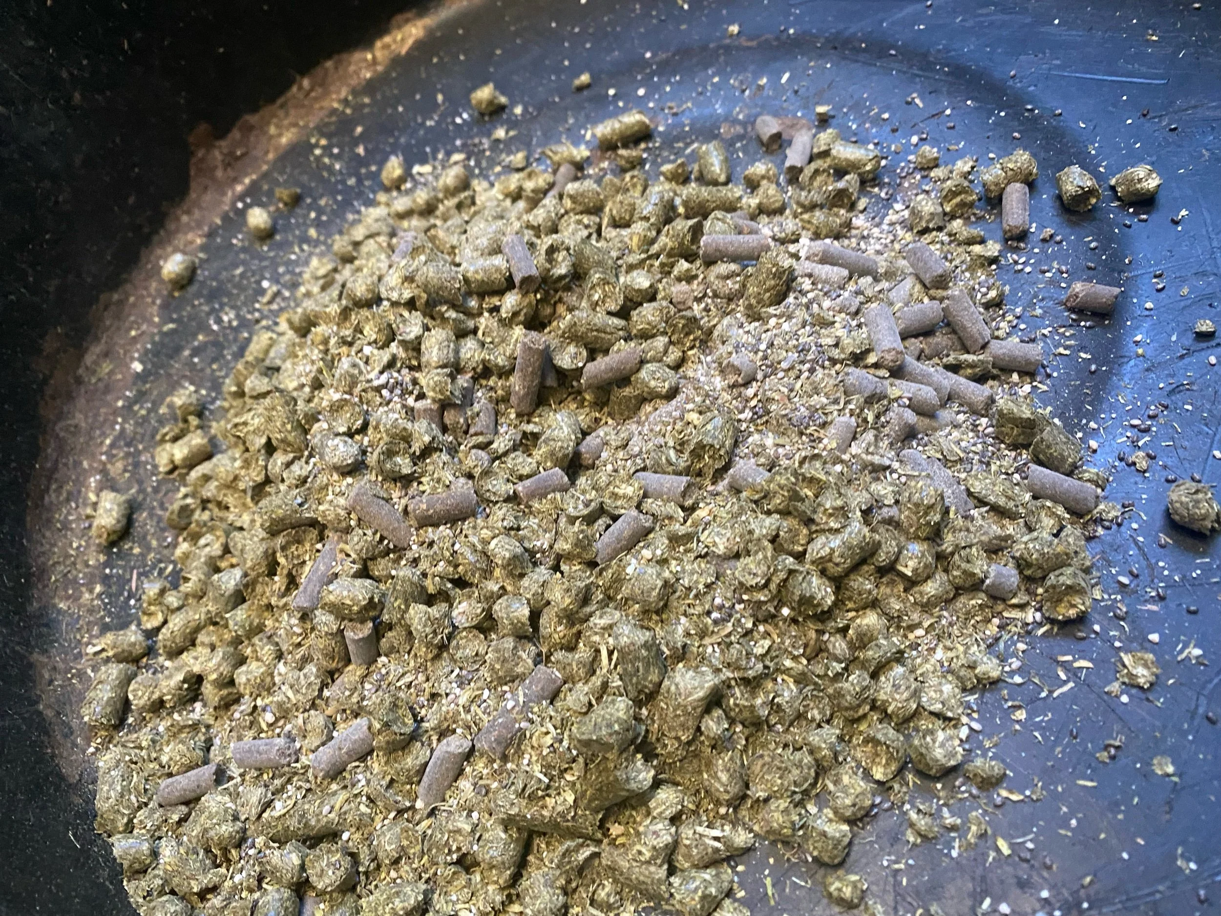 Simple Grain Free Diet for Horses