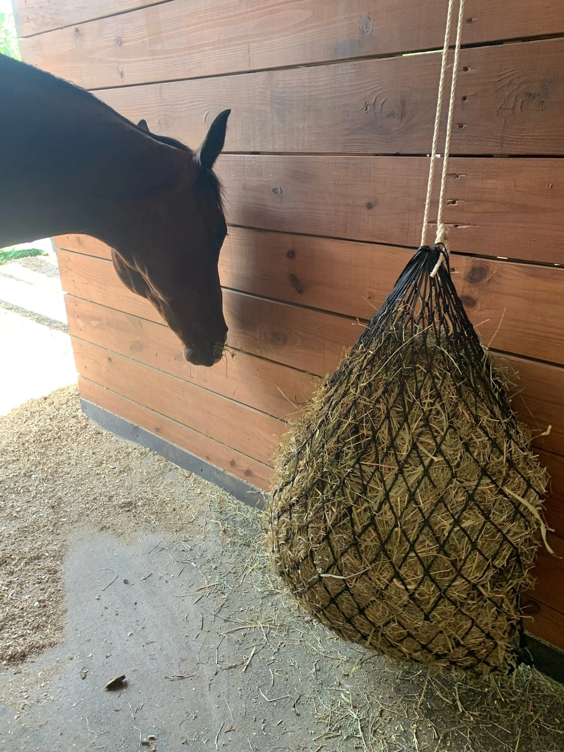 Pros and Cons of Using Hay Nets