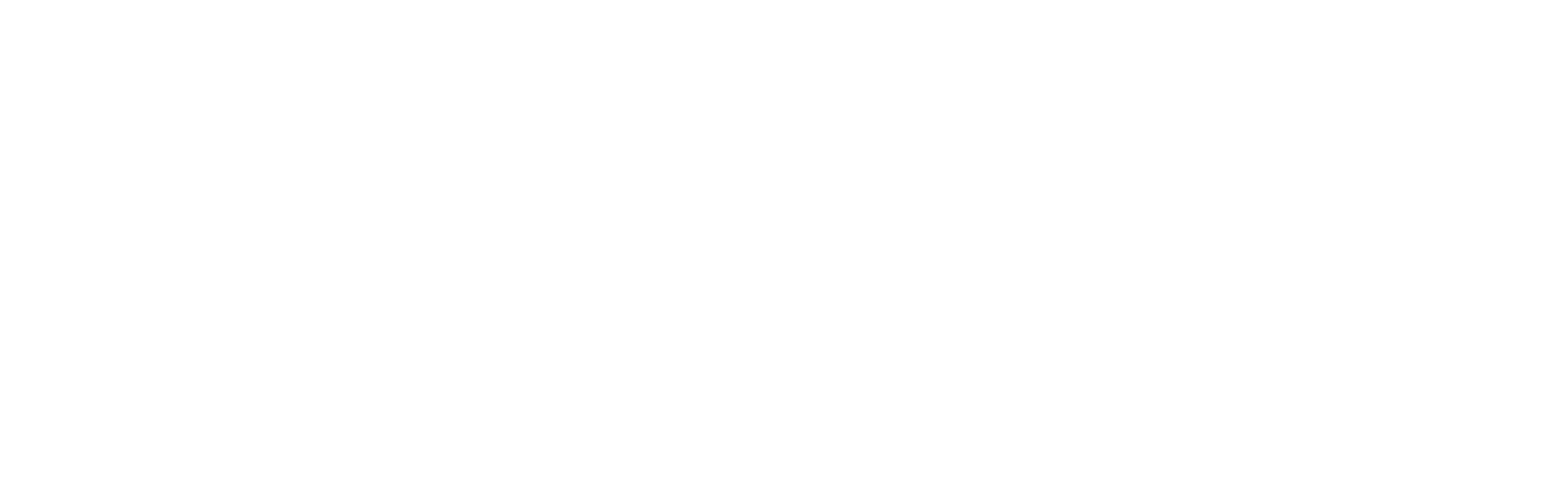 DSM.Logo.Horiz.White-04.png