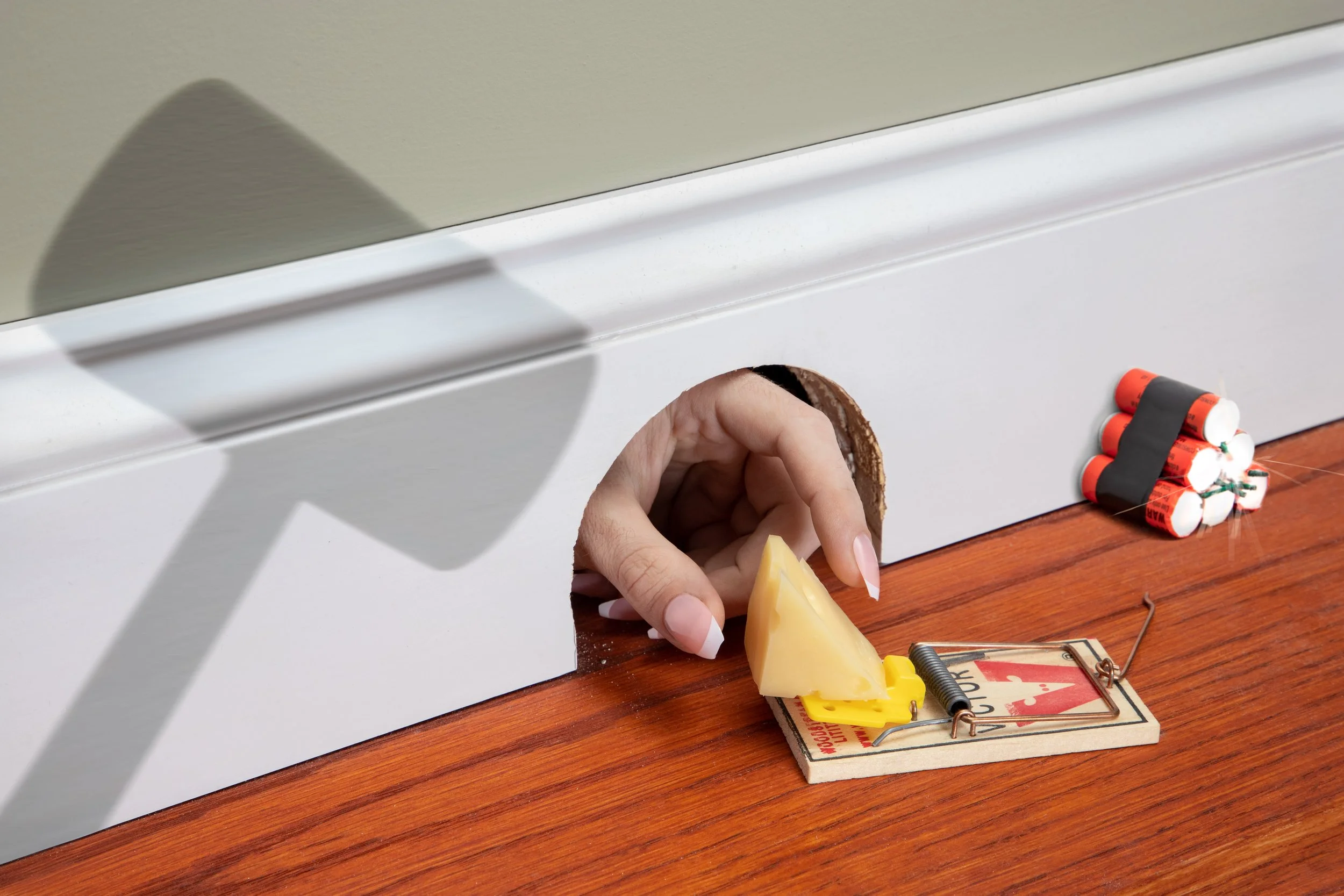 A Game of Cat & Mouse, 2023