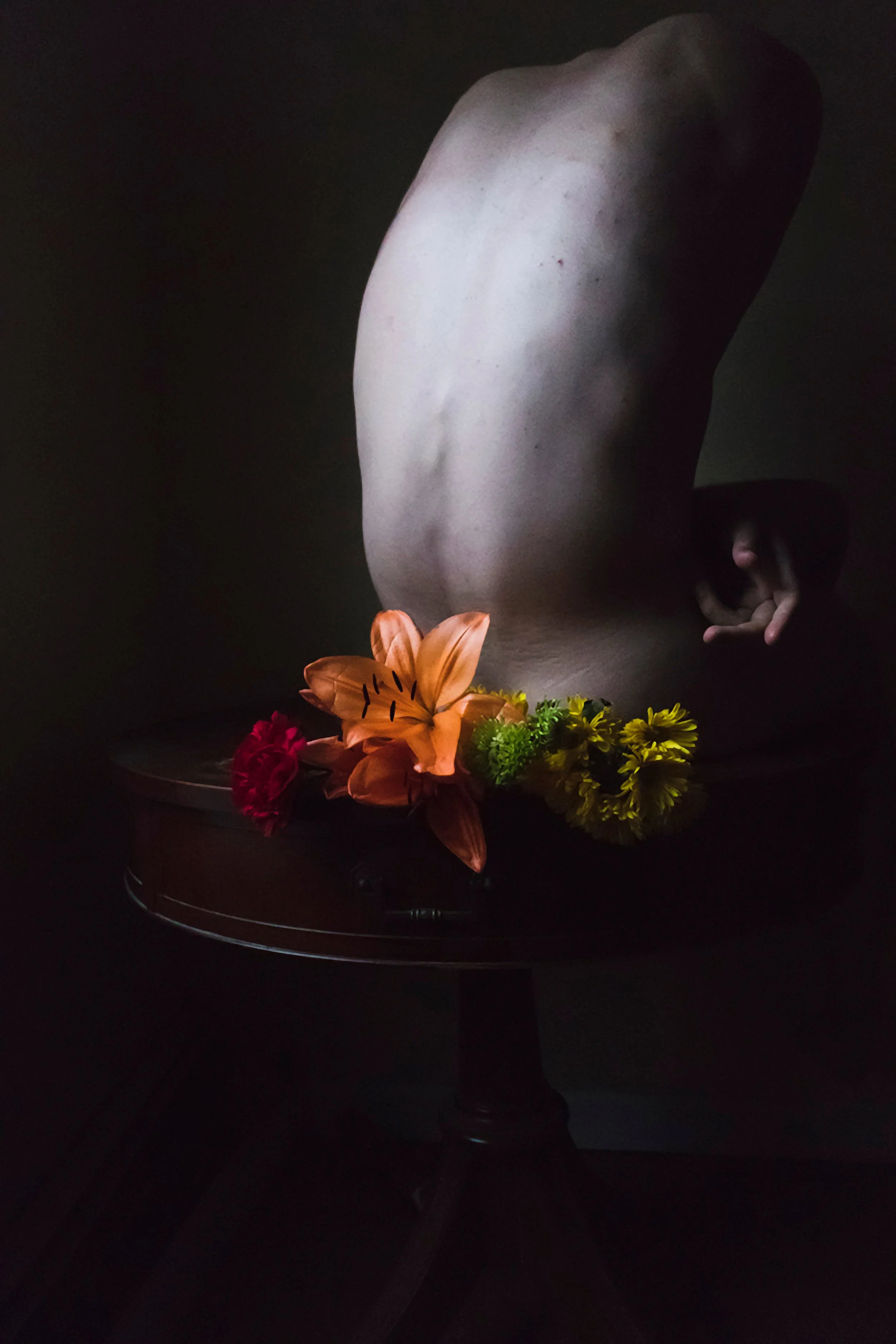 Pansy Ass, 2019