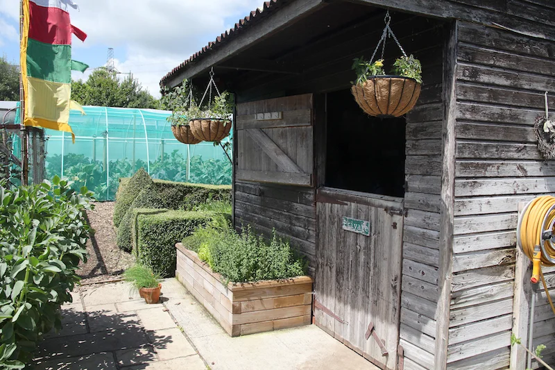The Potting Shed copy.jpeg