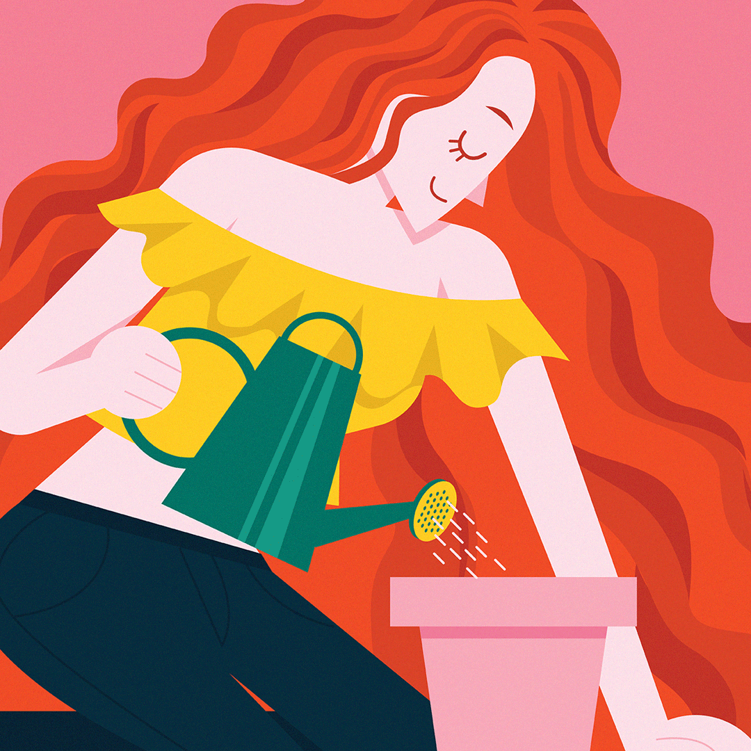 The Beginner’s Guide to Investing