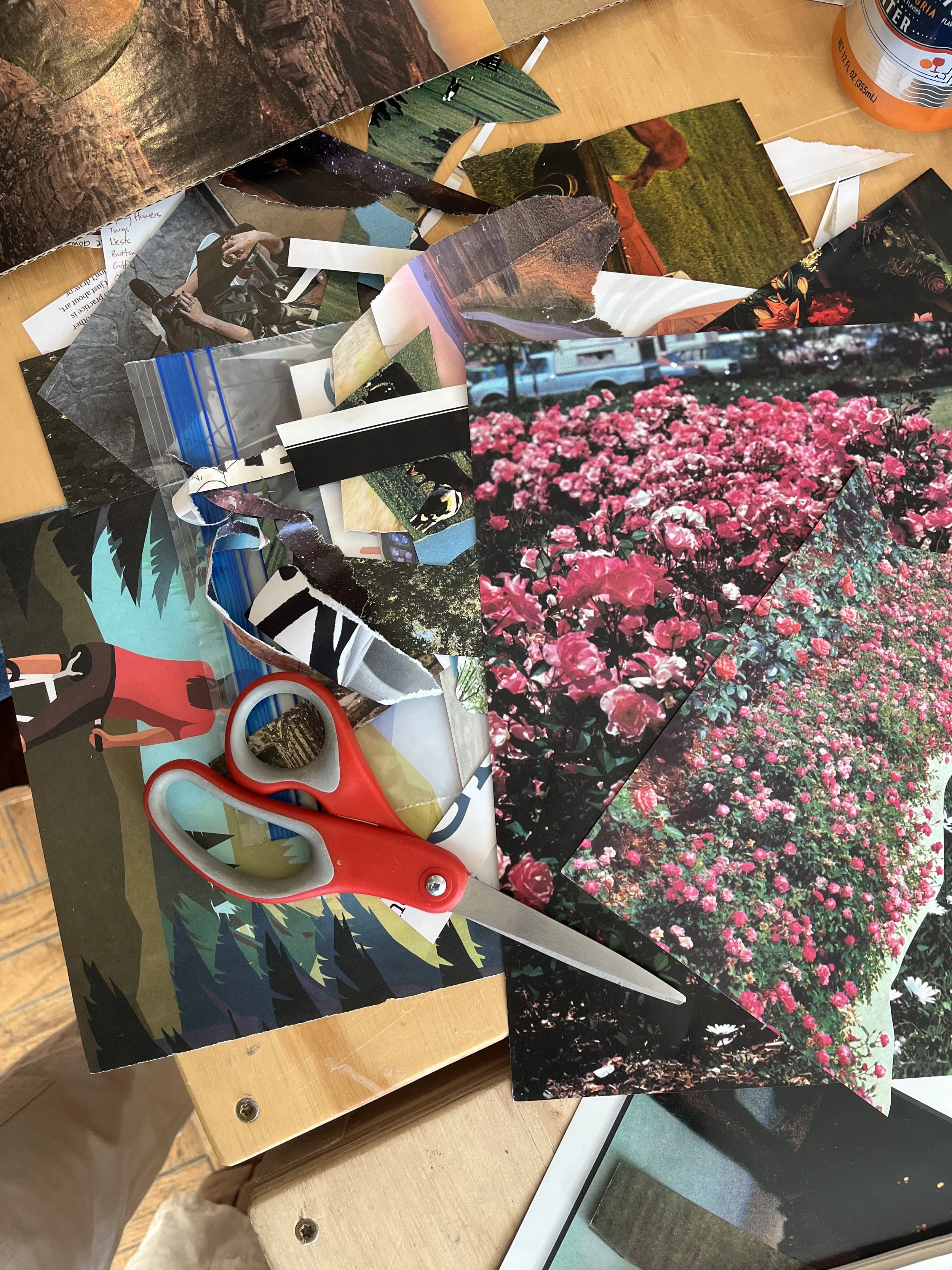 Abstract Paper Collage + Painting: 1 Day Workshop