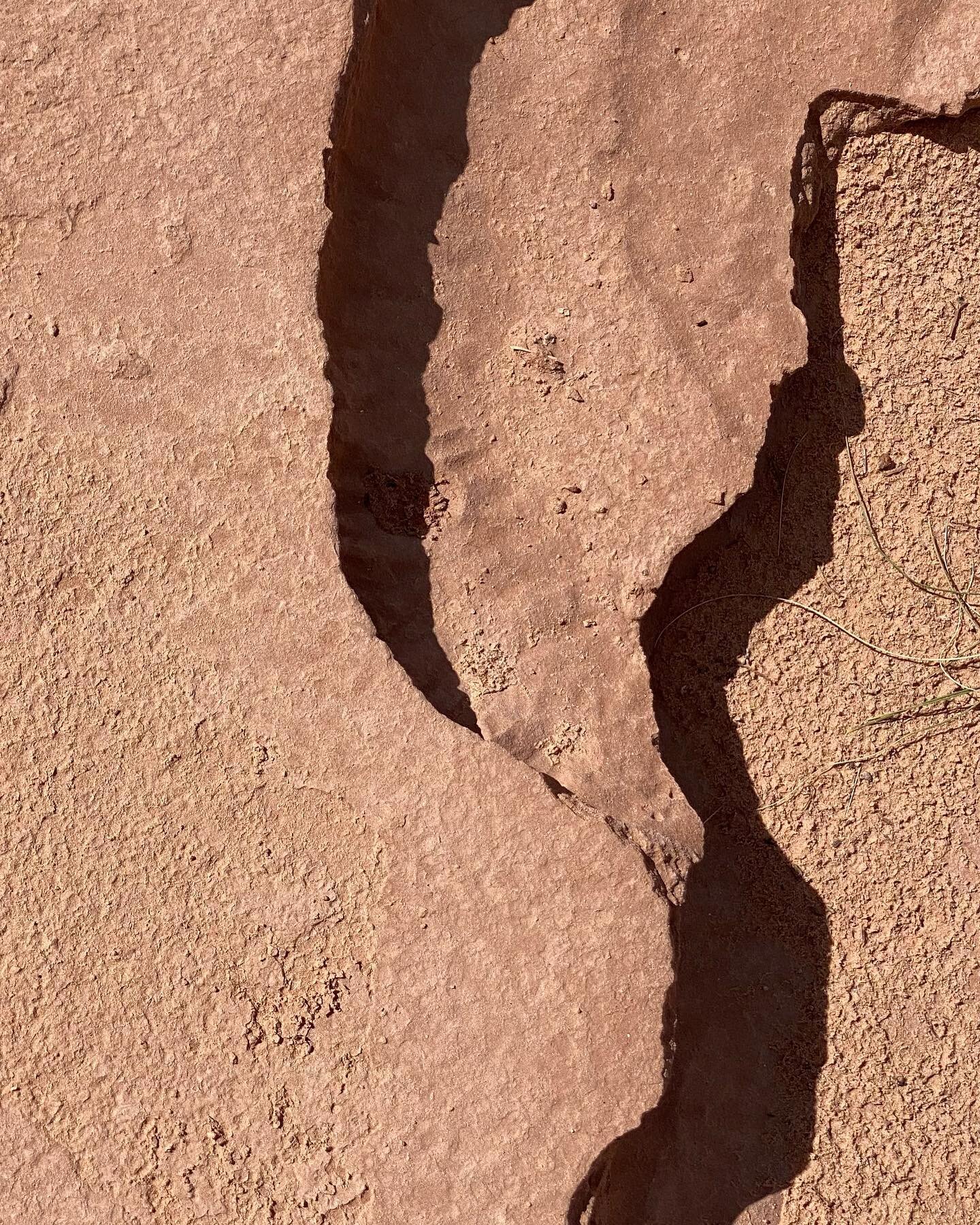 -
When the blistering midday sun hits just perfect.  Desert texture beauty.
Utah / September 2021