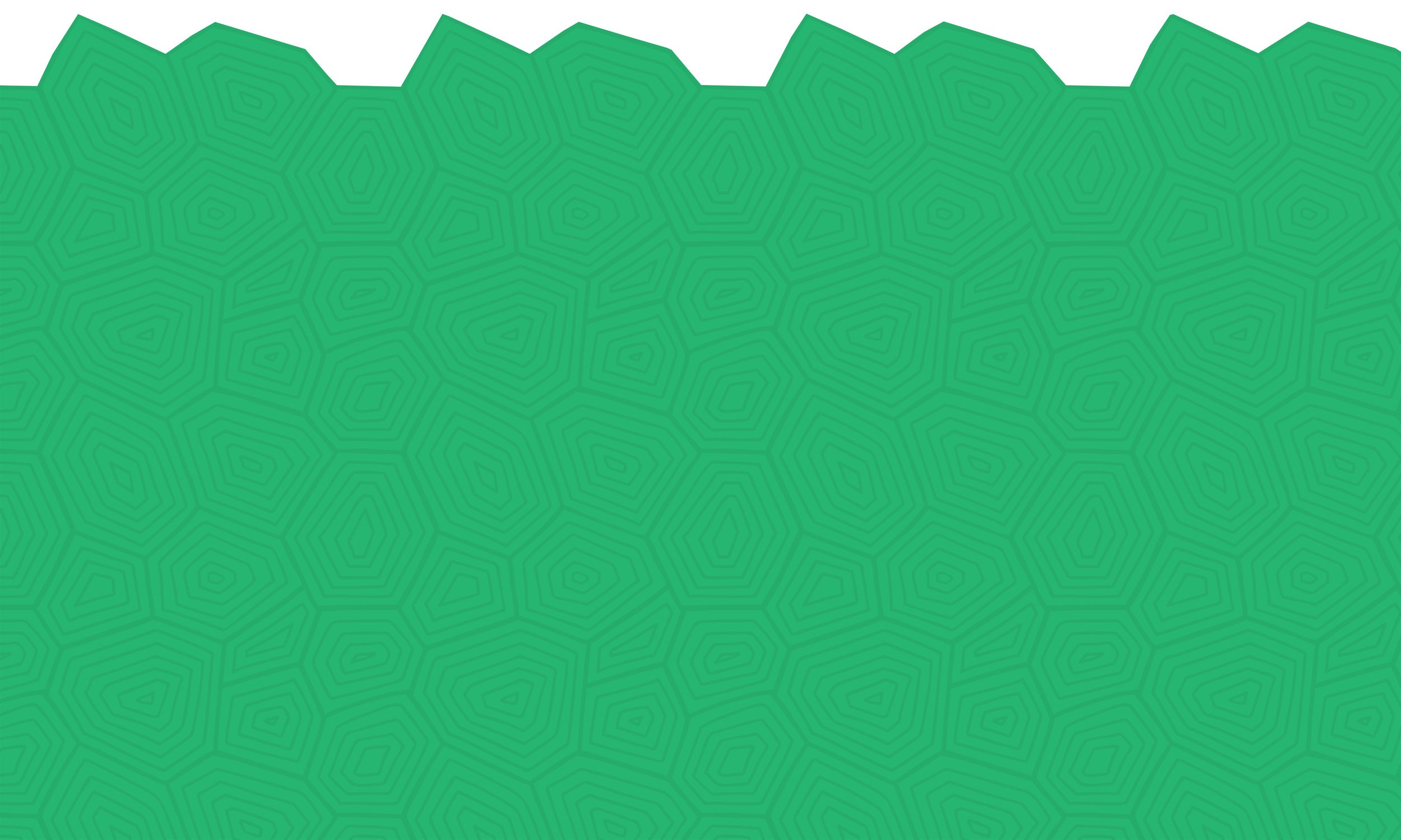 green-turtle-shell-banner.jpg