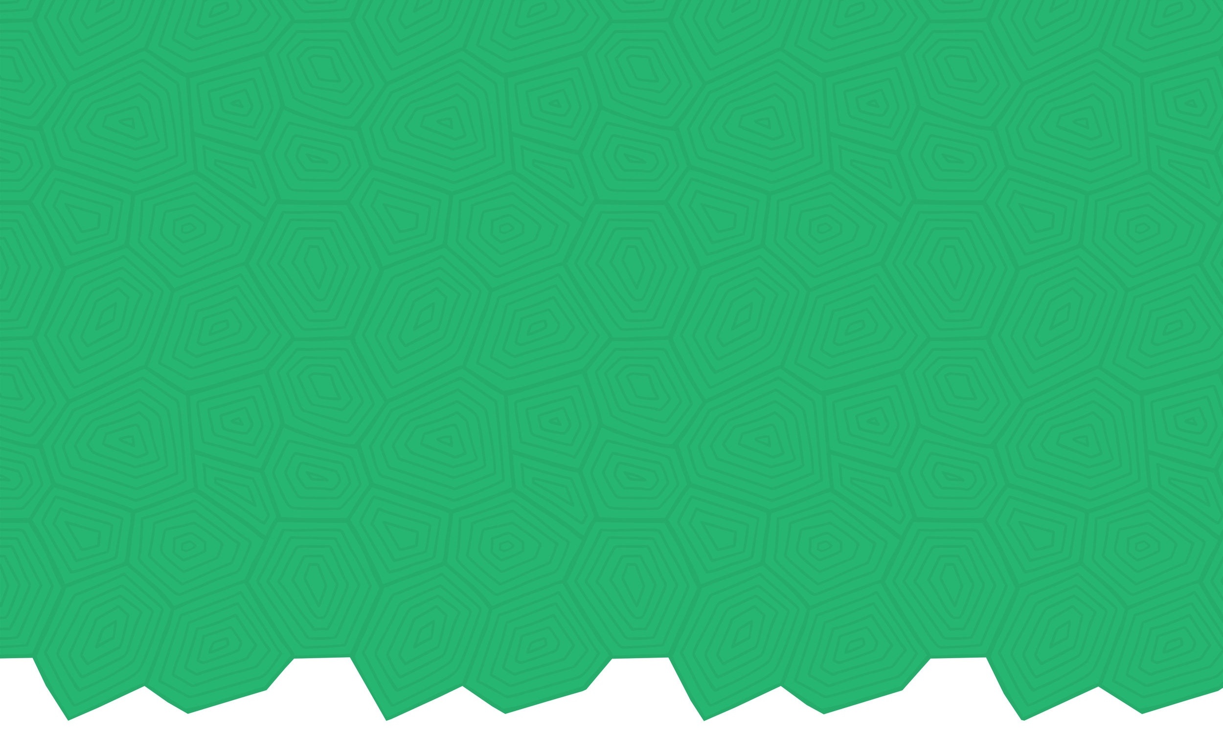 green-turtle-shell-banner.jpg