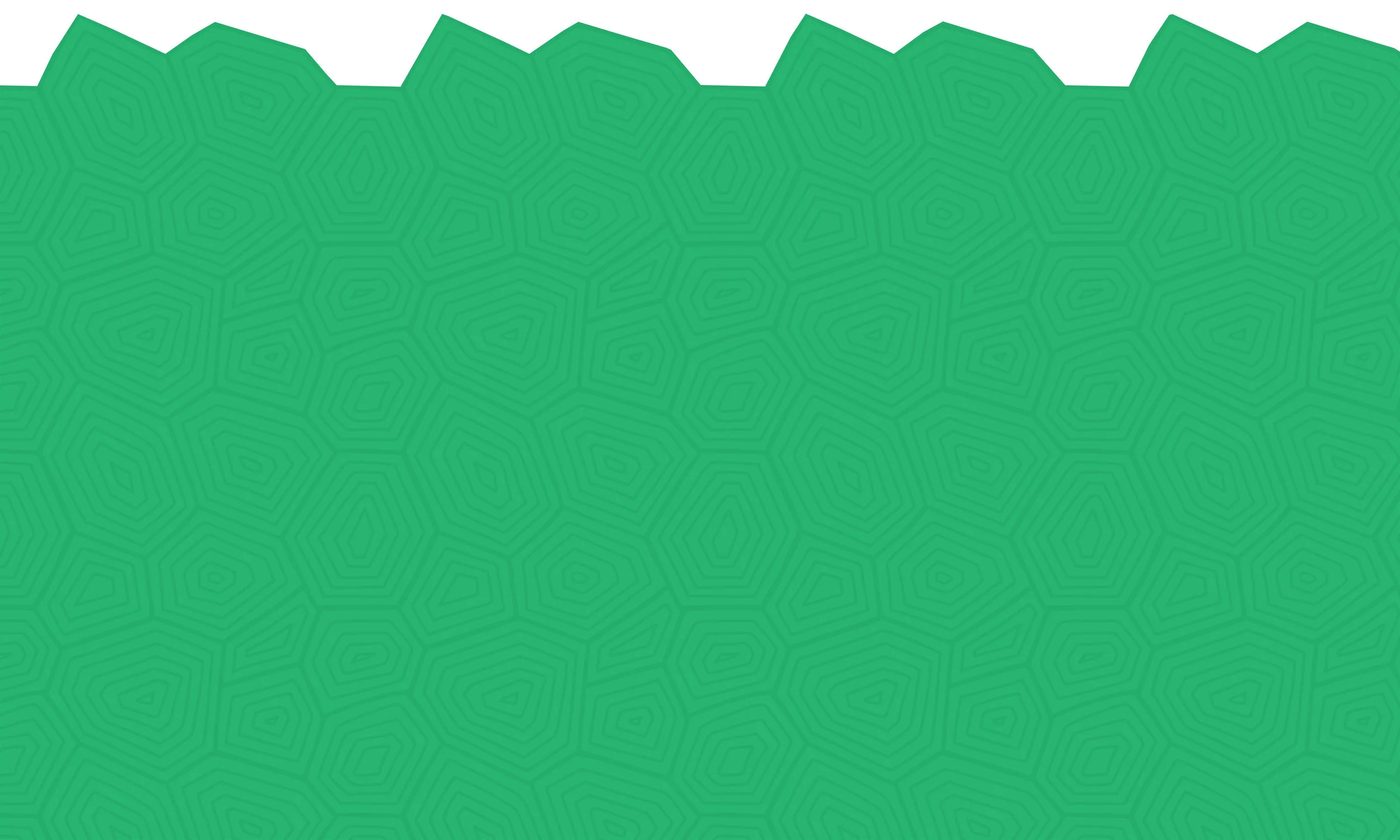green-turtle-shell-banner.jpg