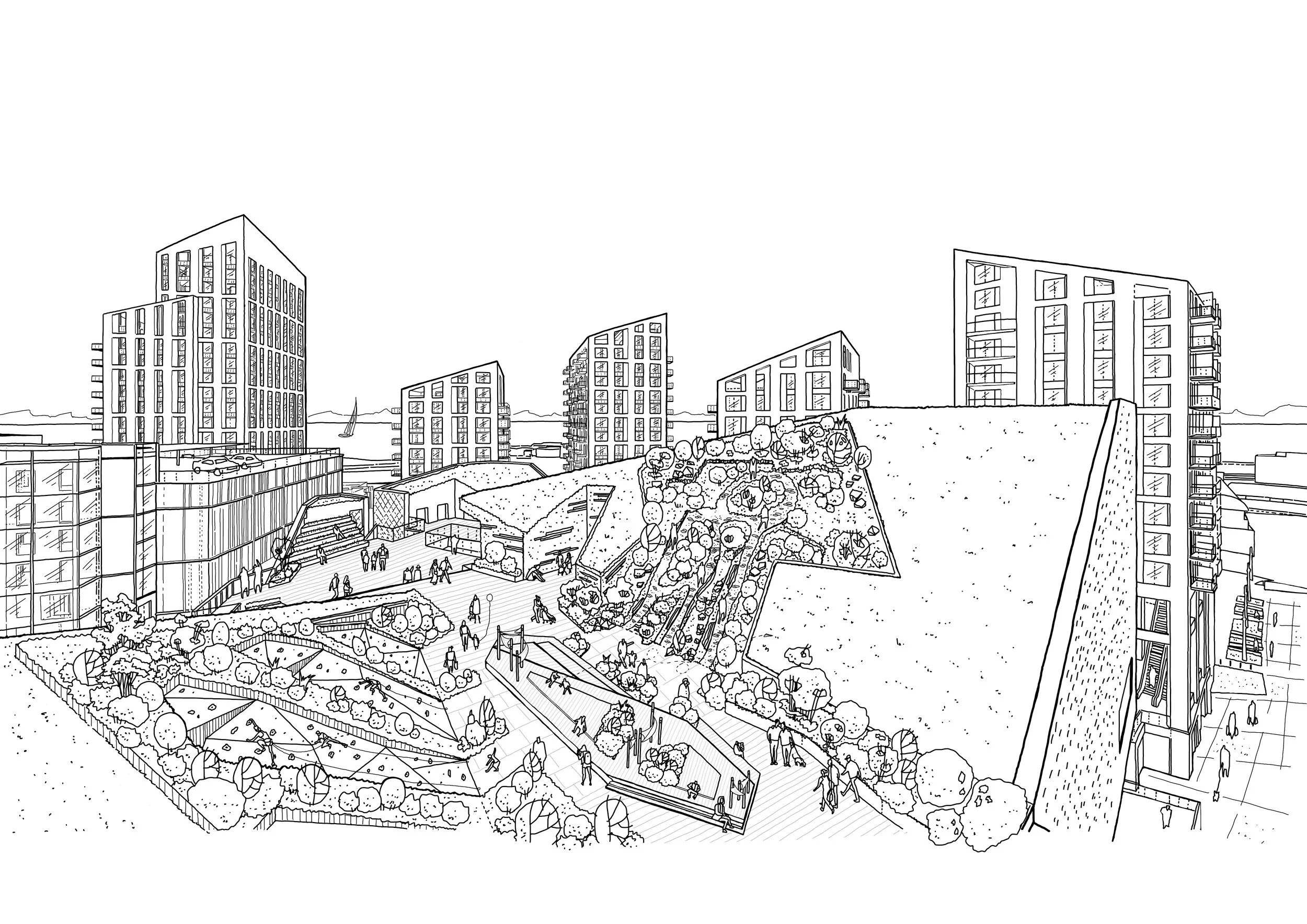 Roof_Top_Augustine_Hill.jpg
