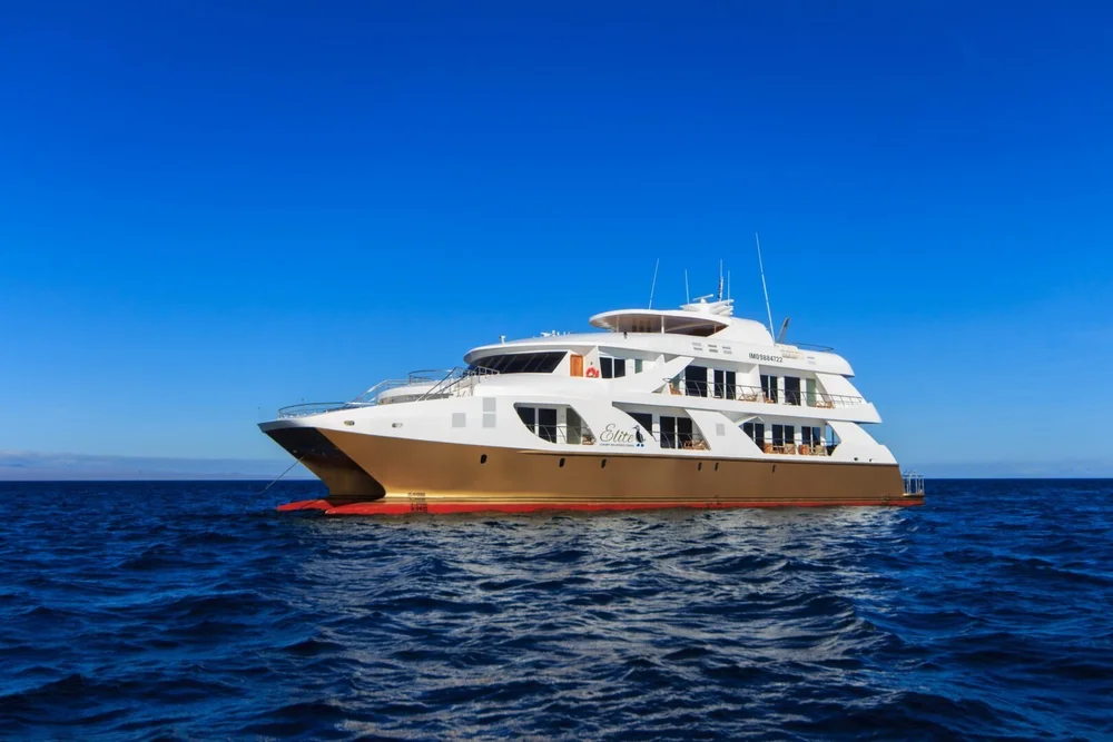Touring Galapagos Small Luxury Galapagos Yachts And Tours