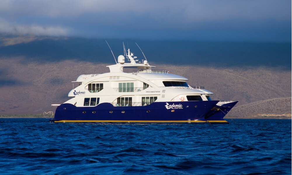 Endemic-Luxury-Catamaran-1.jpg